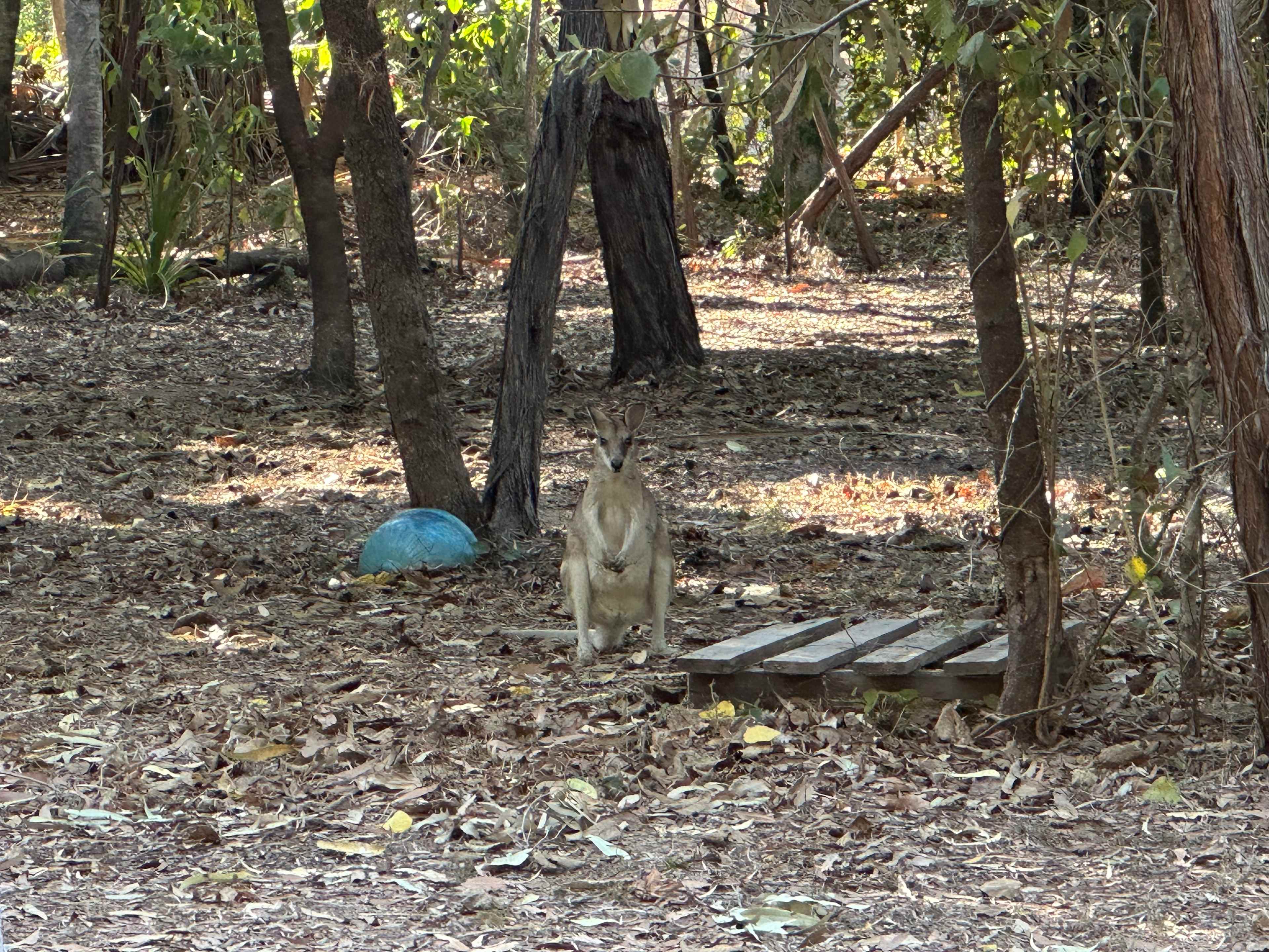Gorge Creek Bushcamp