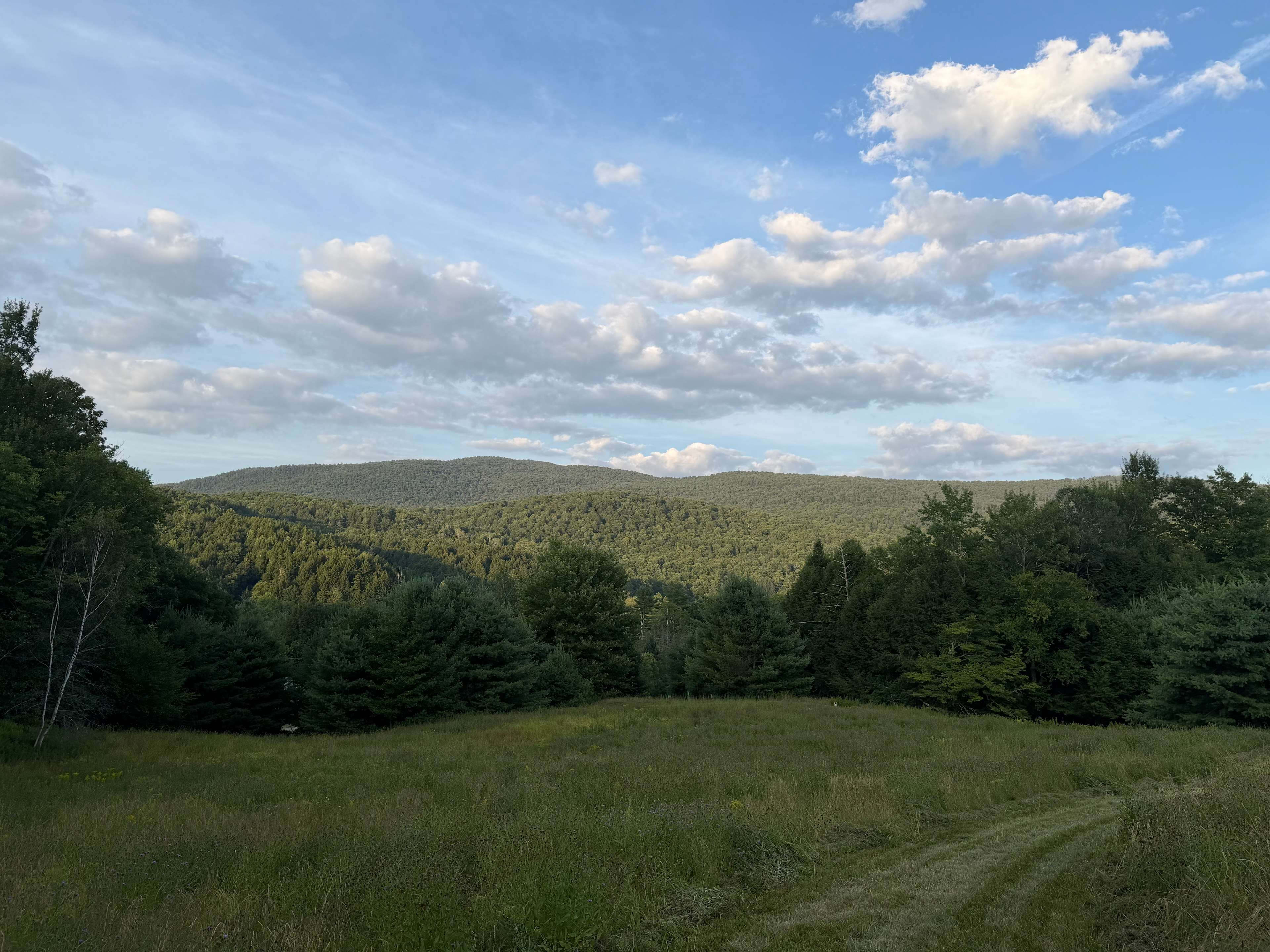Black Creek Maple Off Grid Camp