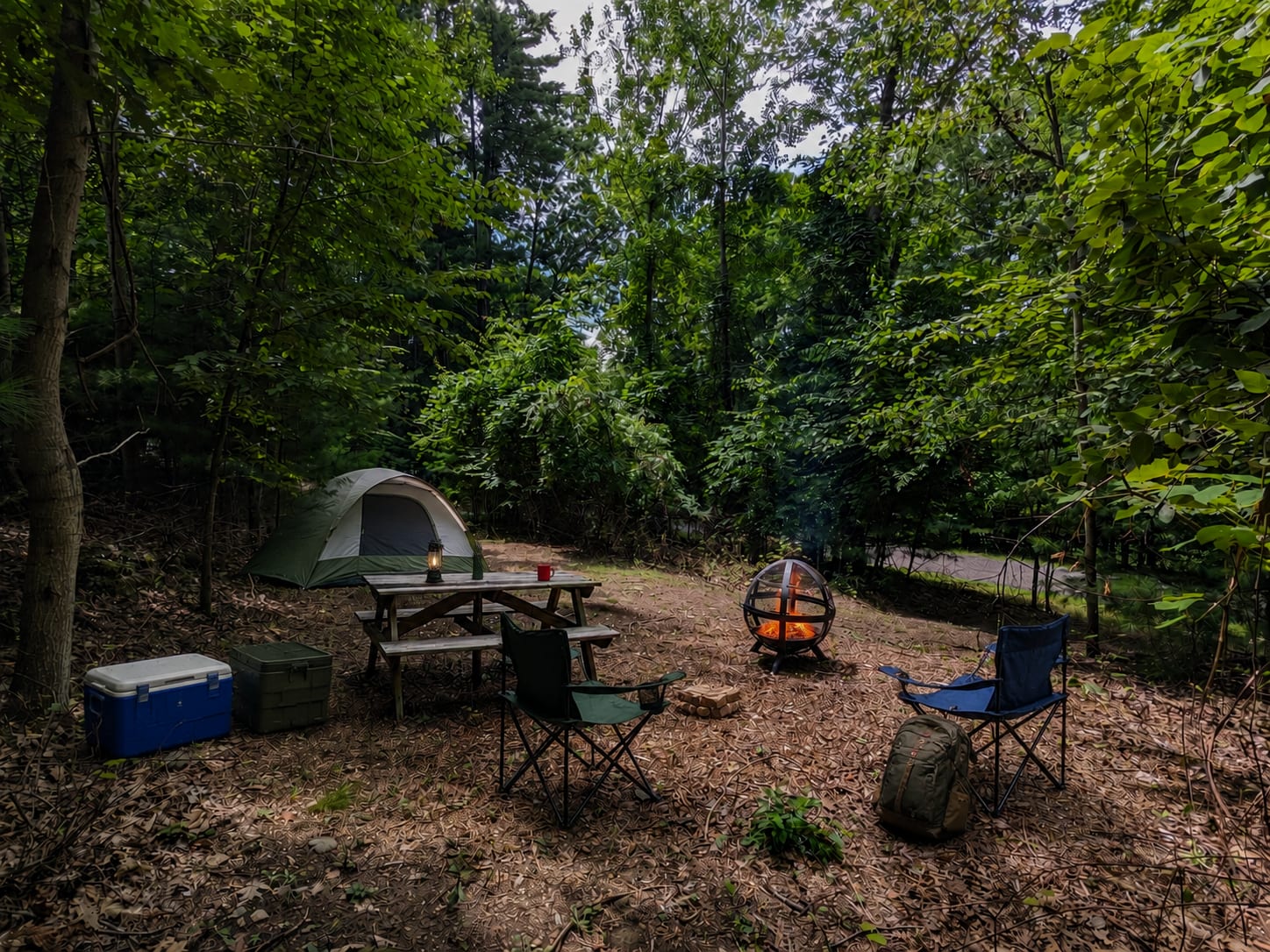 Picture of the site