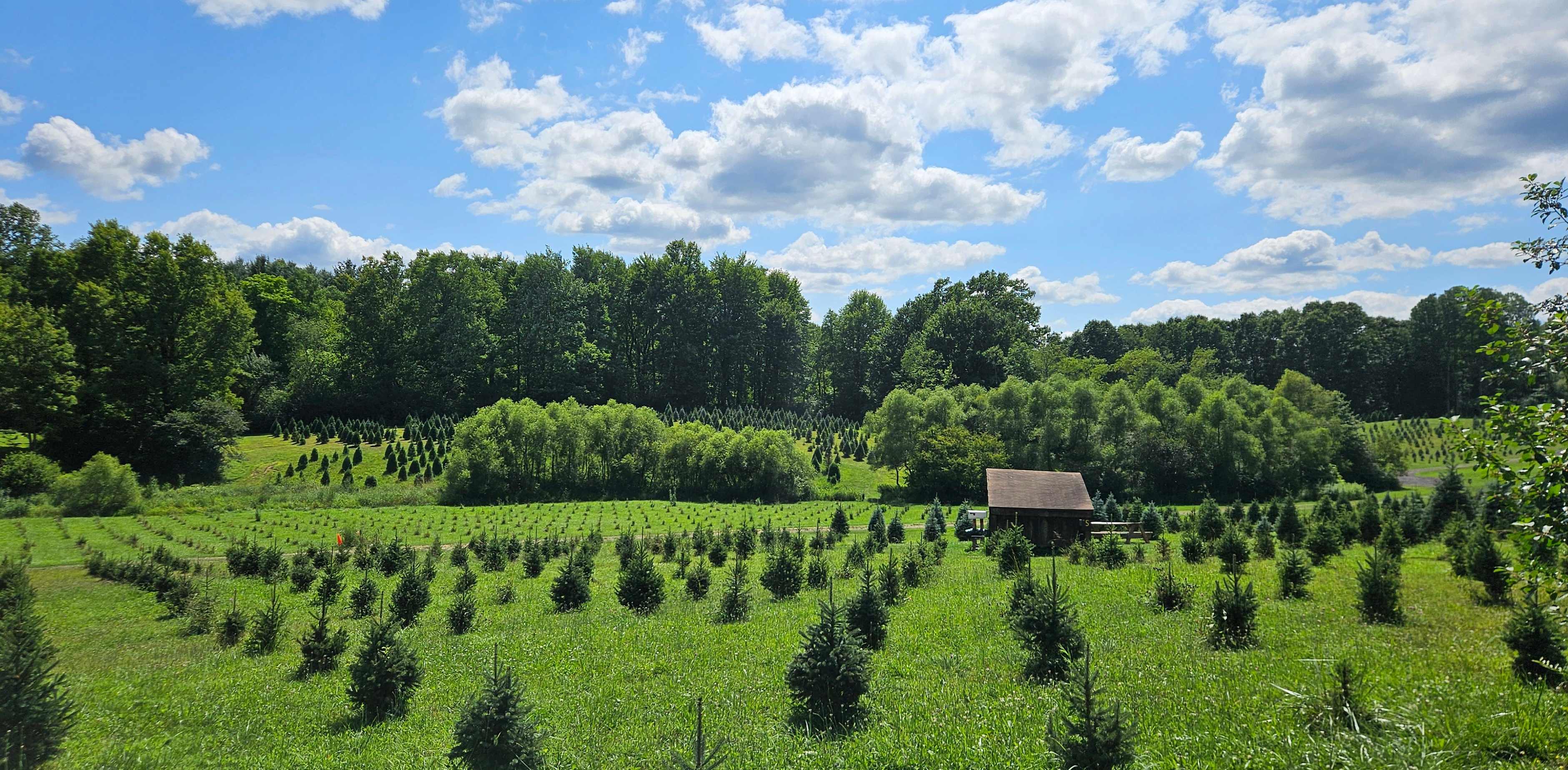 Camping at Heritage Farms