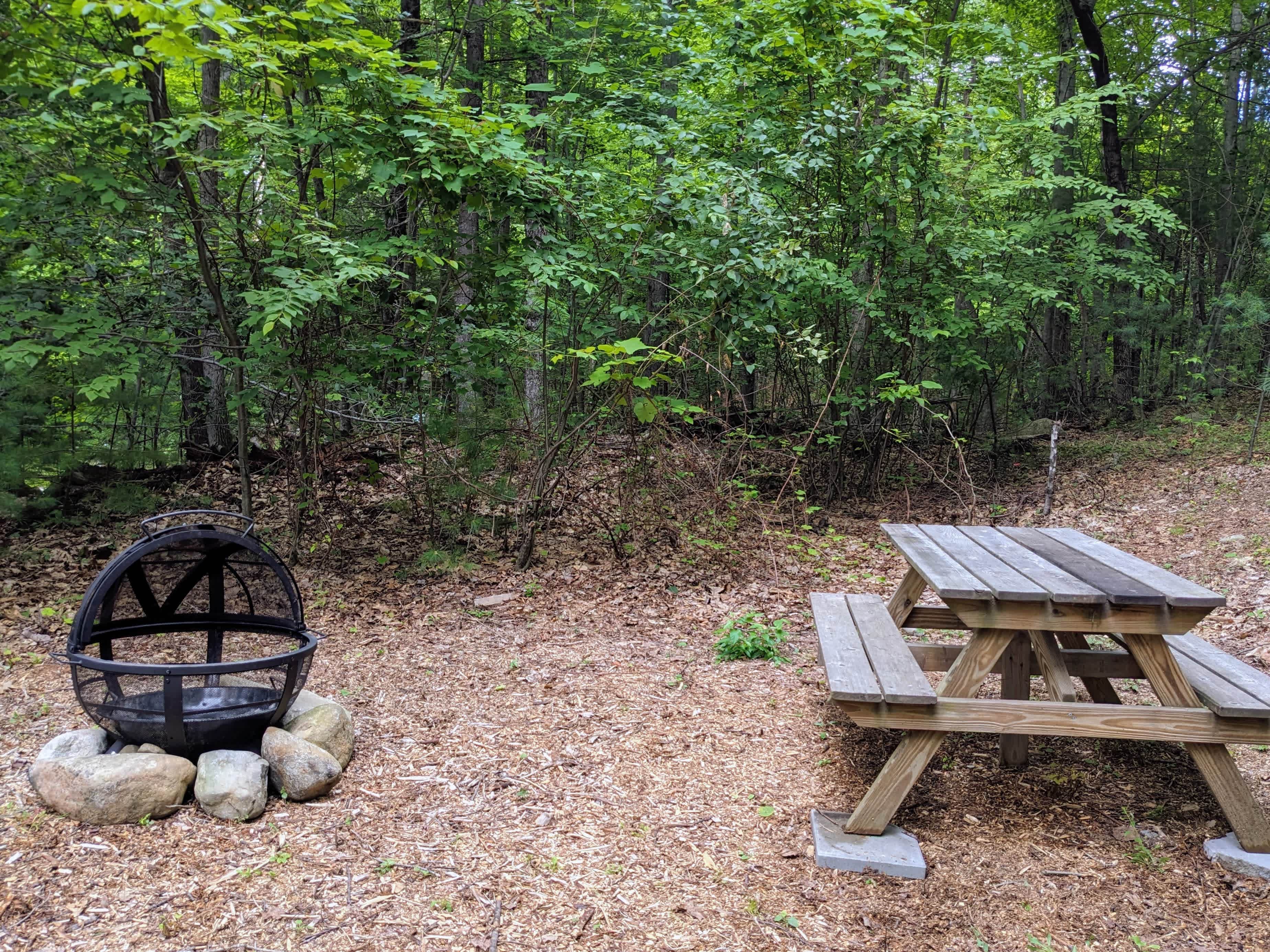 Picture of the site