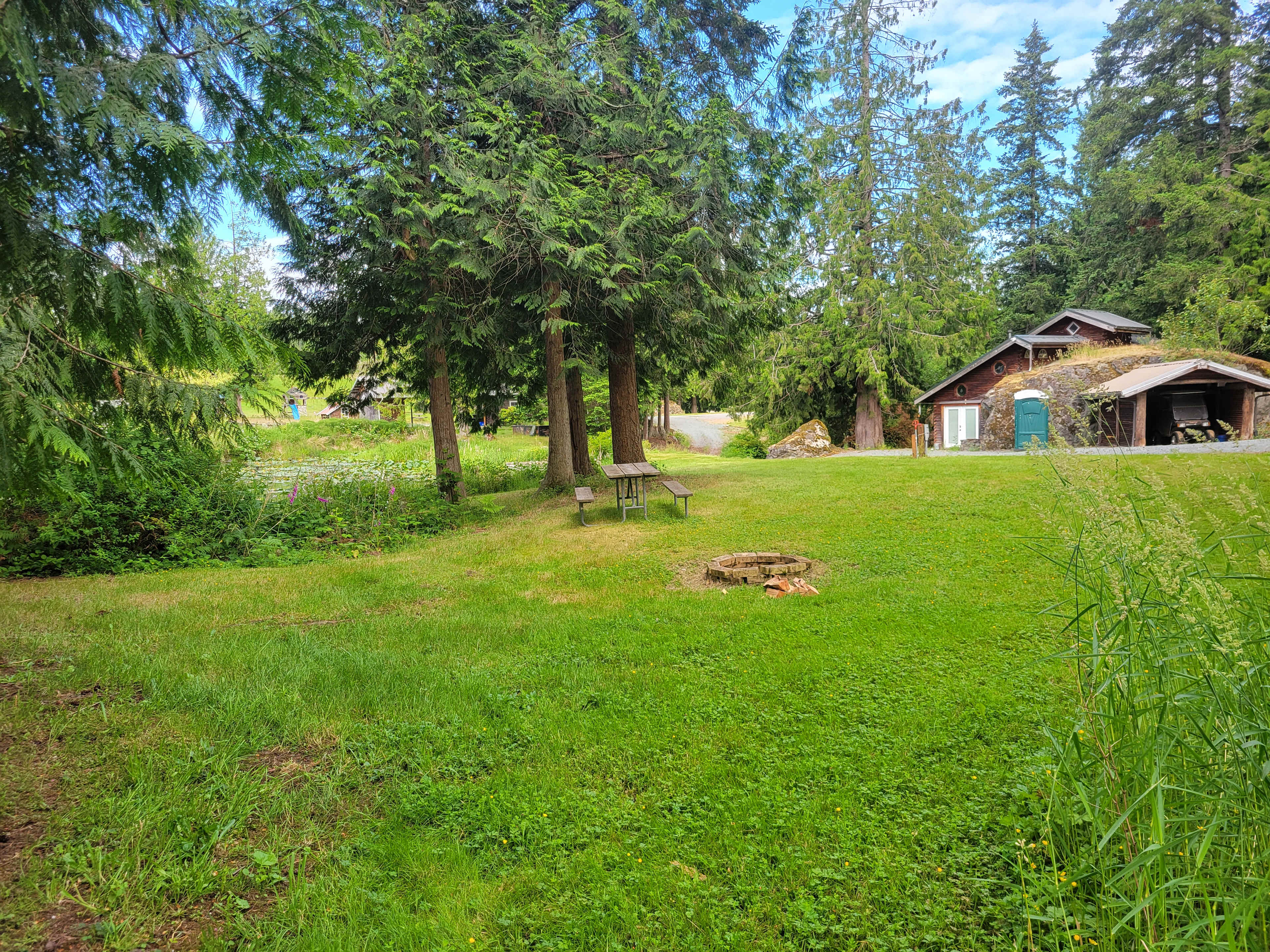Picture of the site