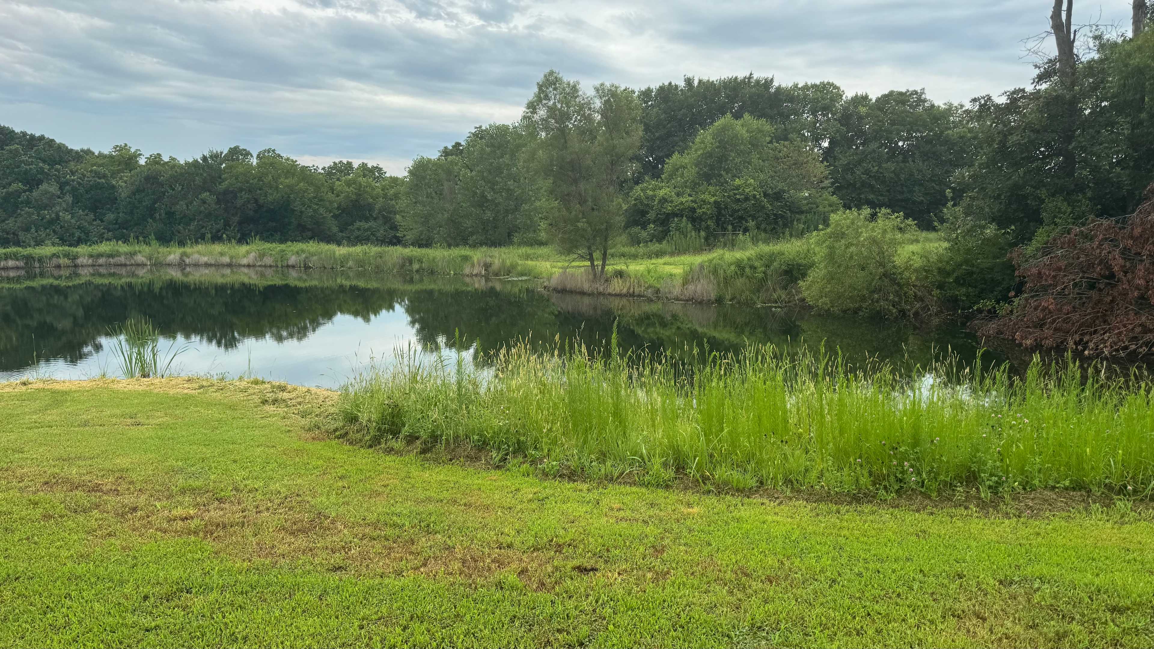 Beautiful pond