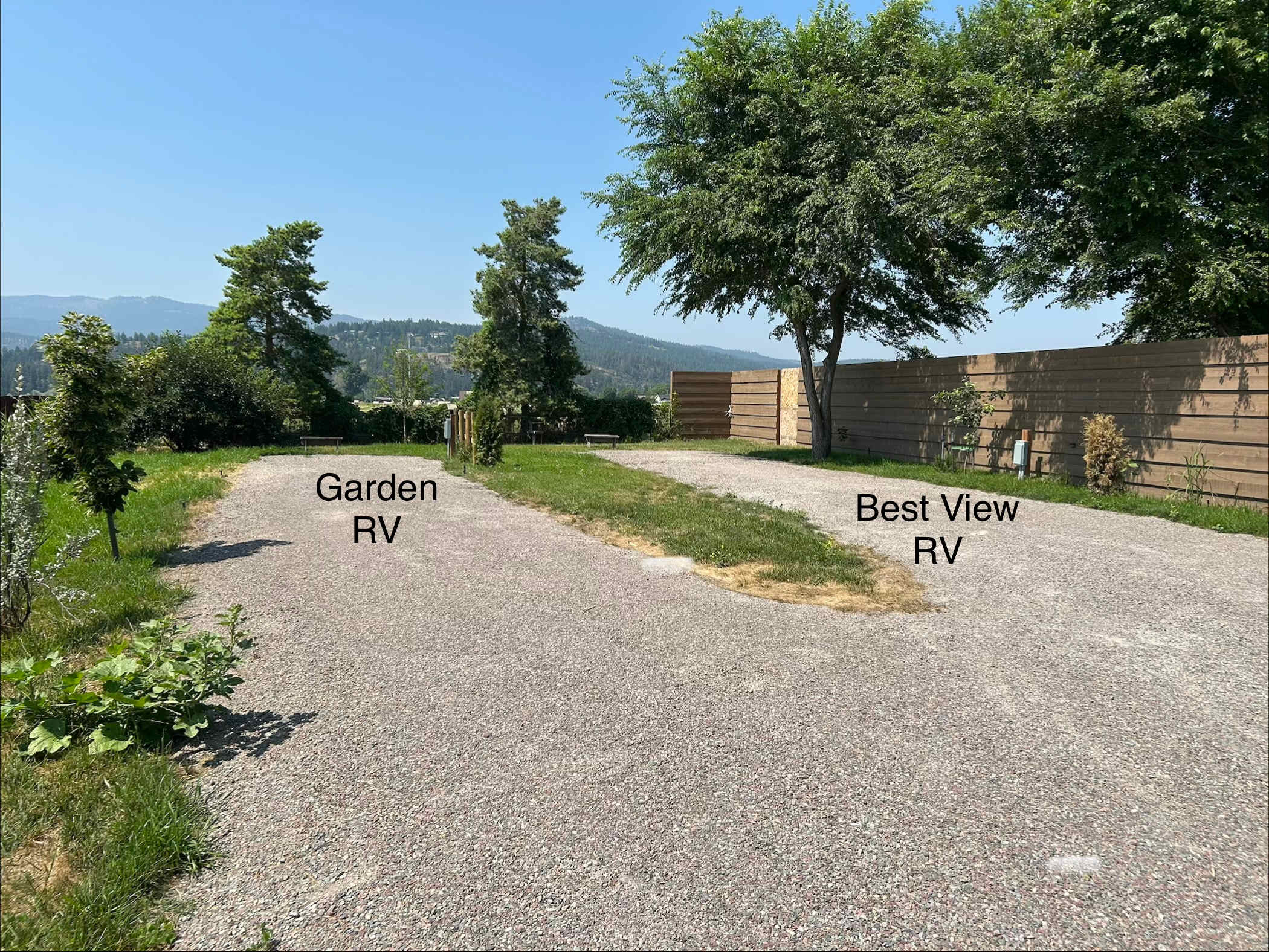 Picture of the site