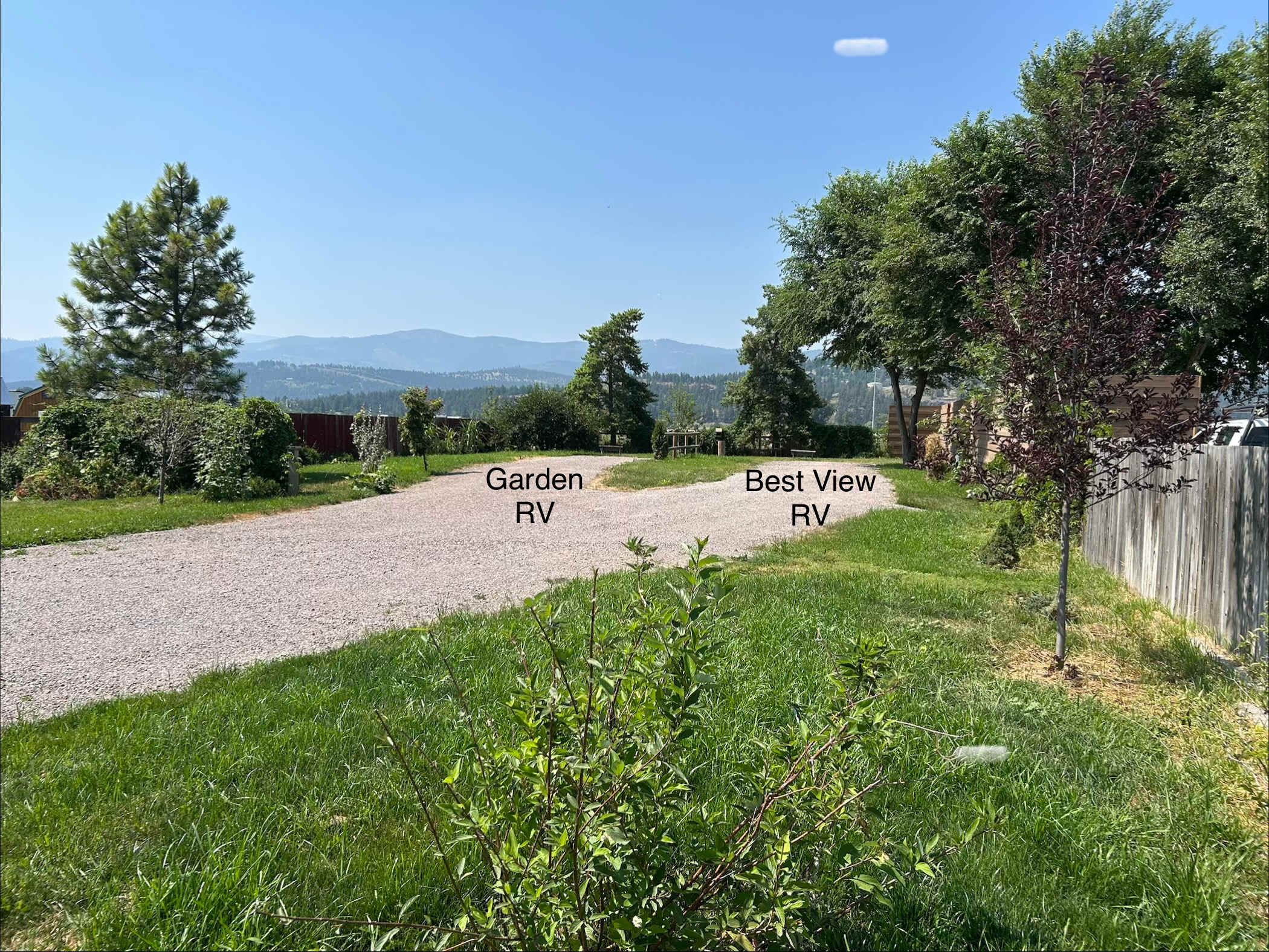 Picture of the site