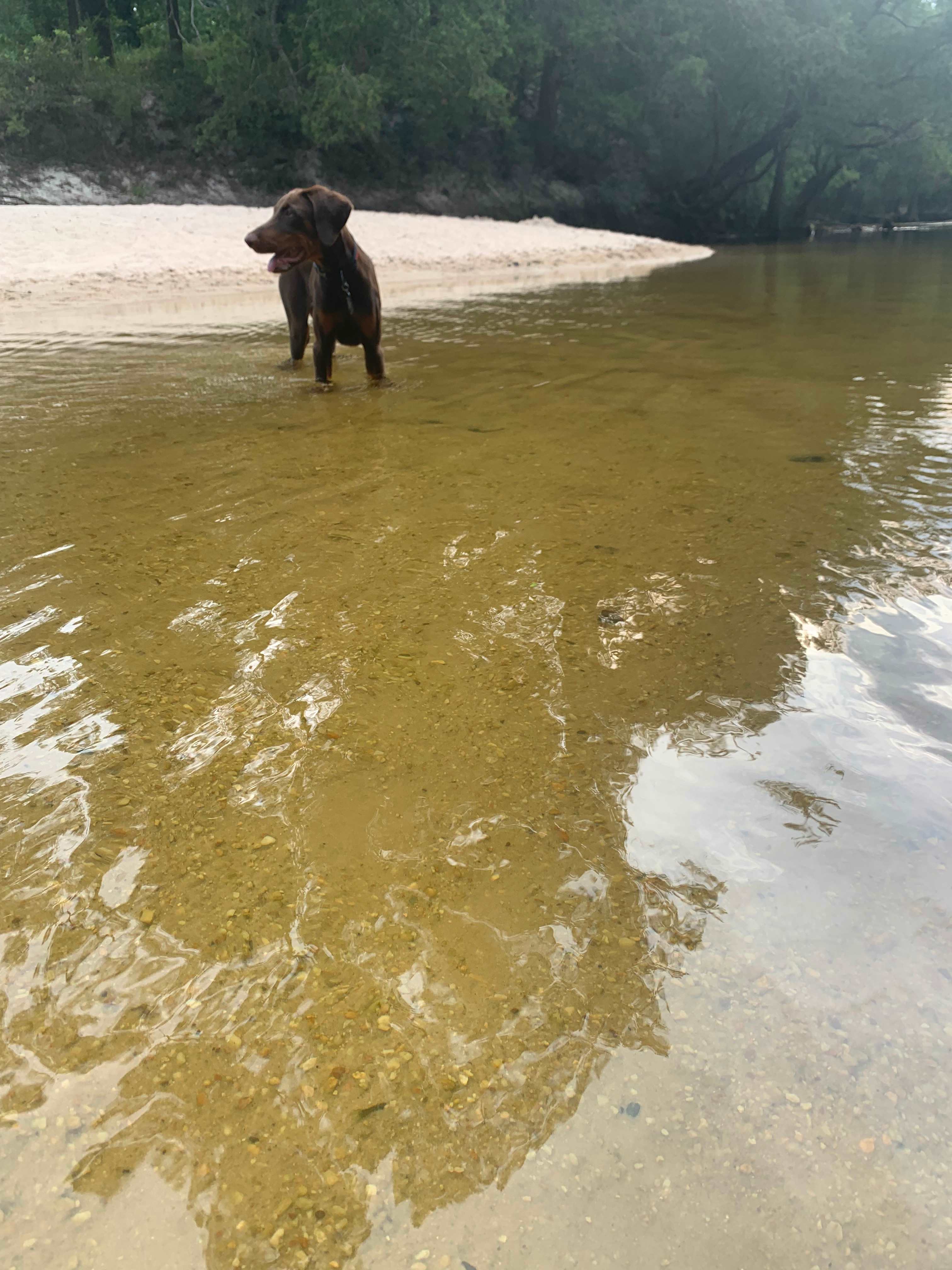 YaYa's River Retreat