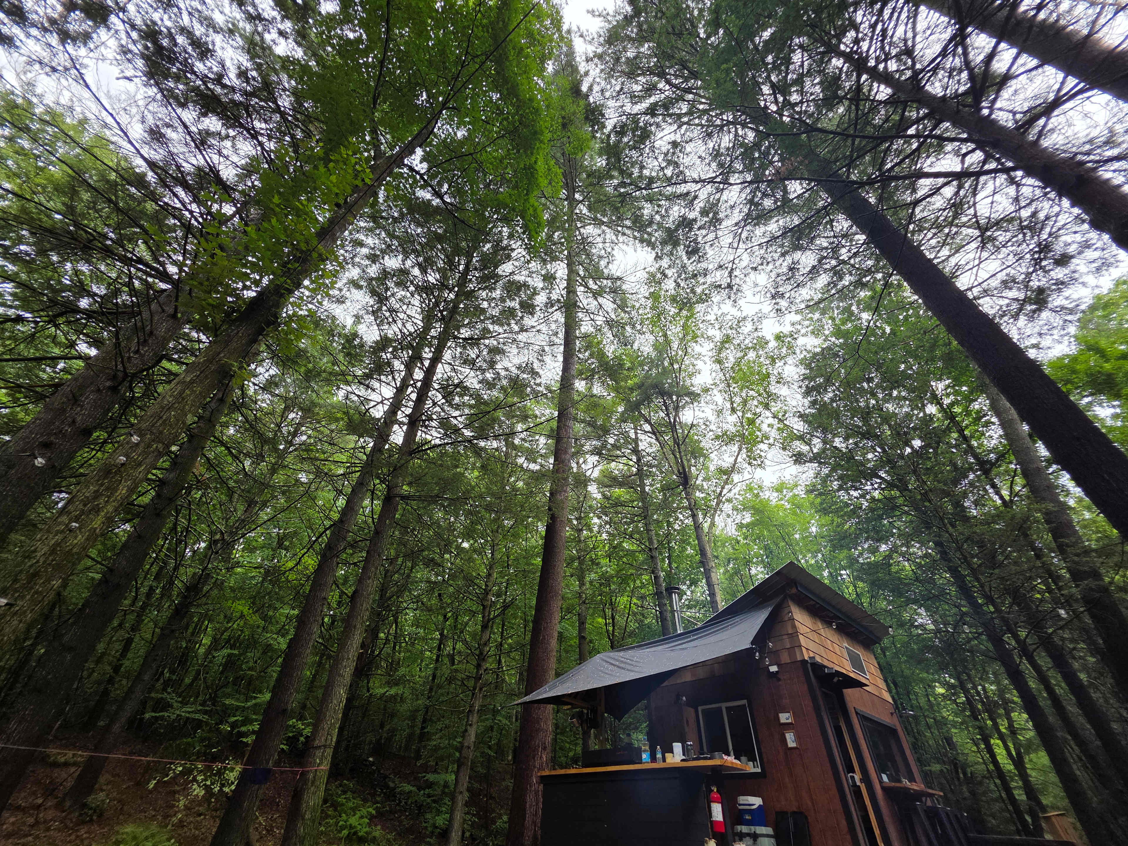 Tiny Cabin on 45 Acres With Stream