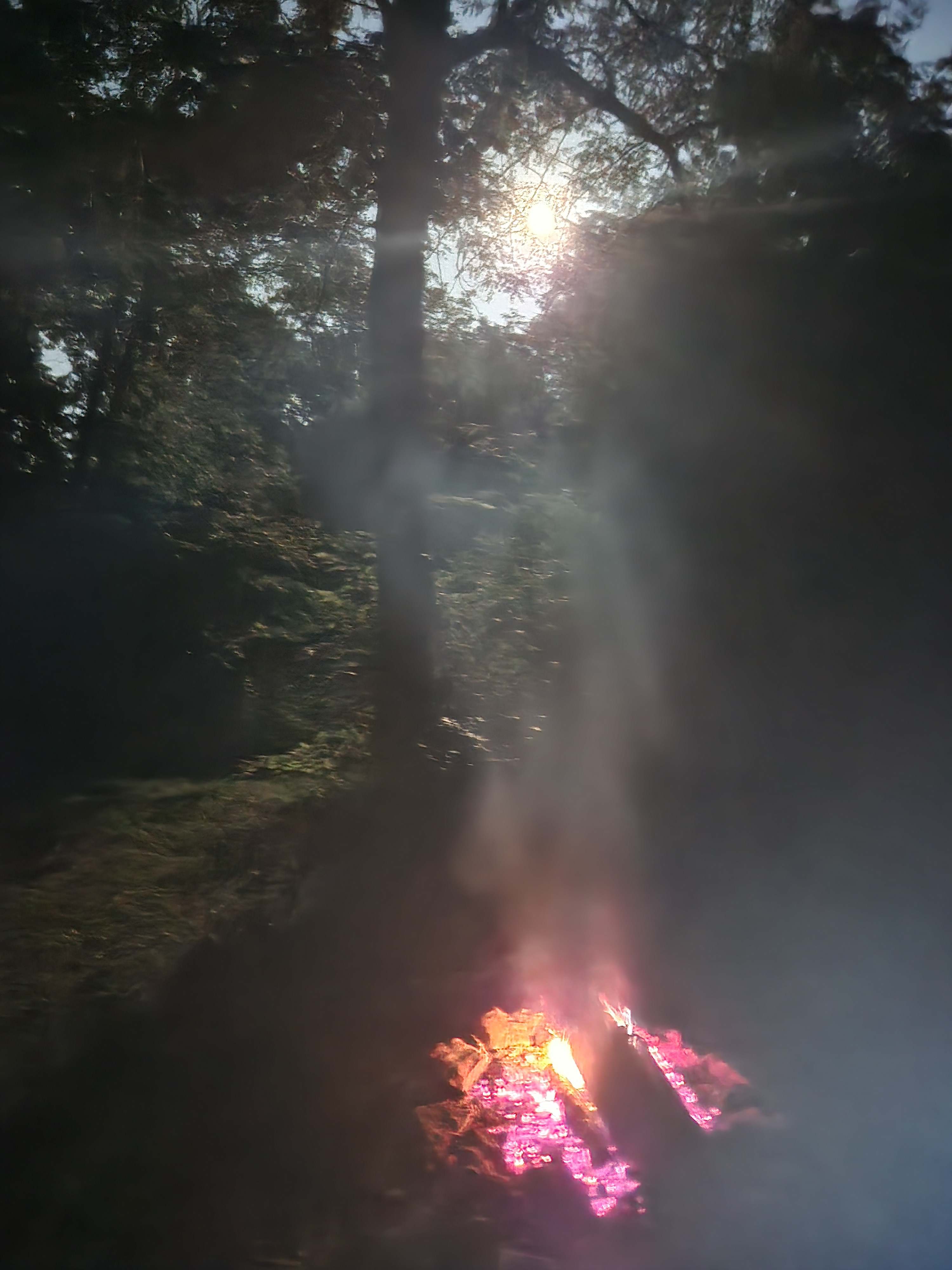 Railroad creek camp ground