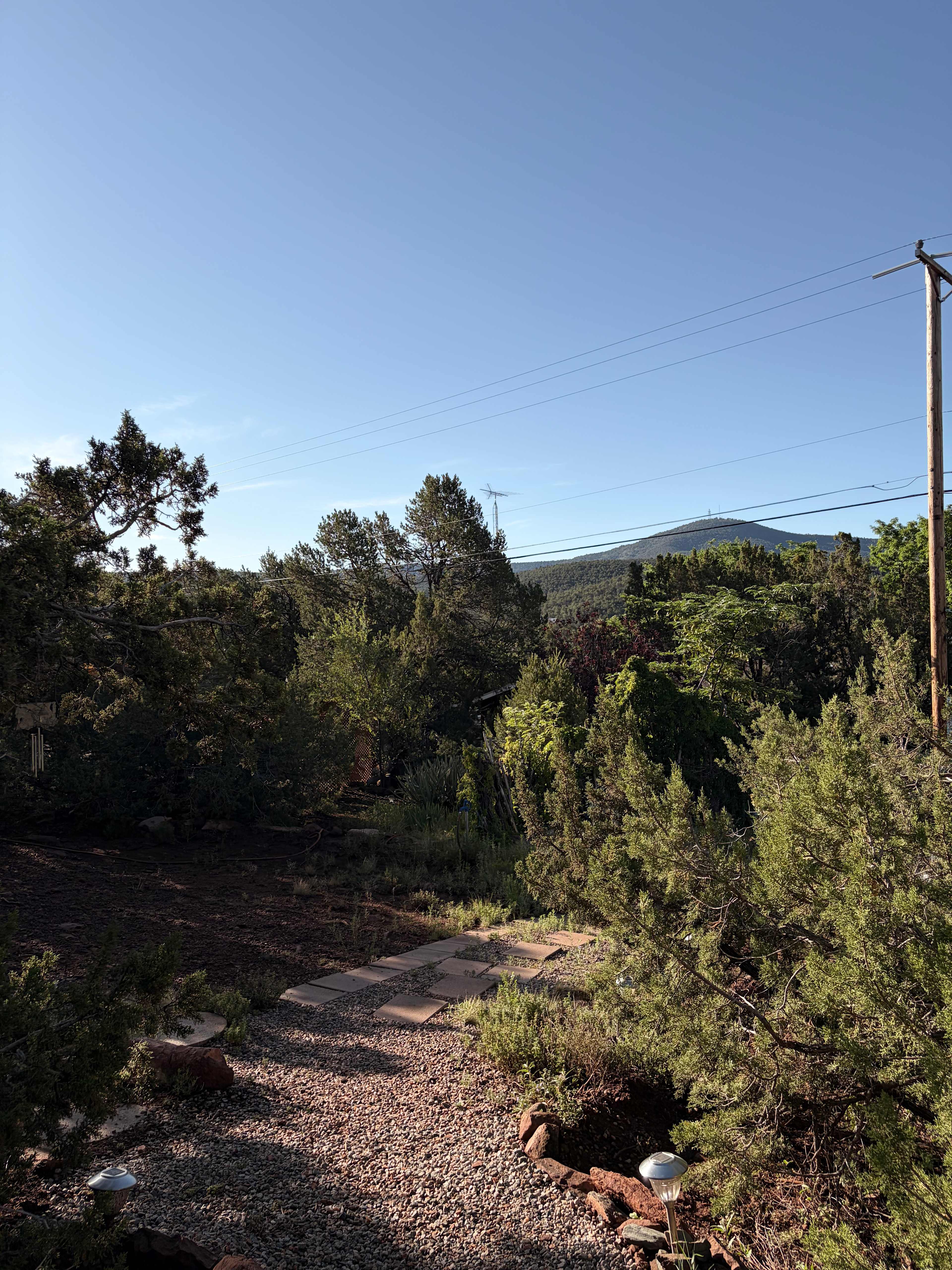view from the seating area above the yoga yurta 