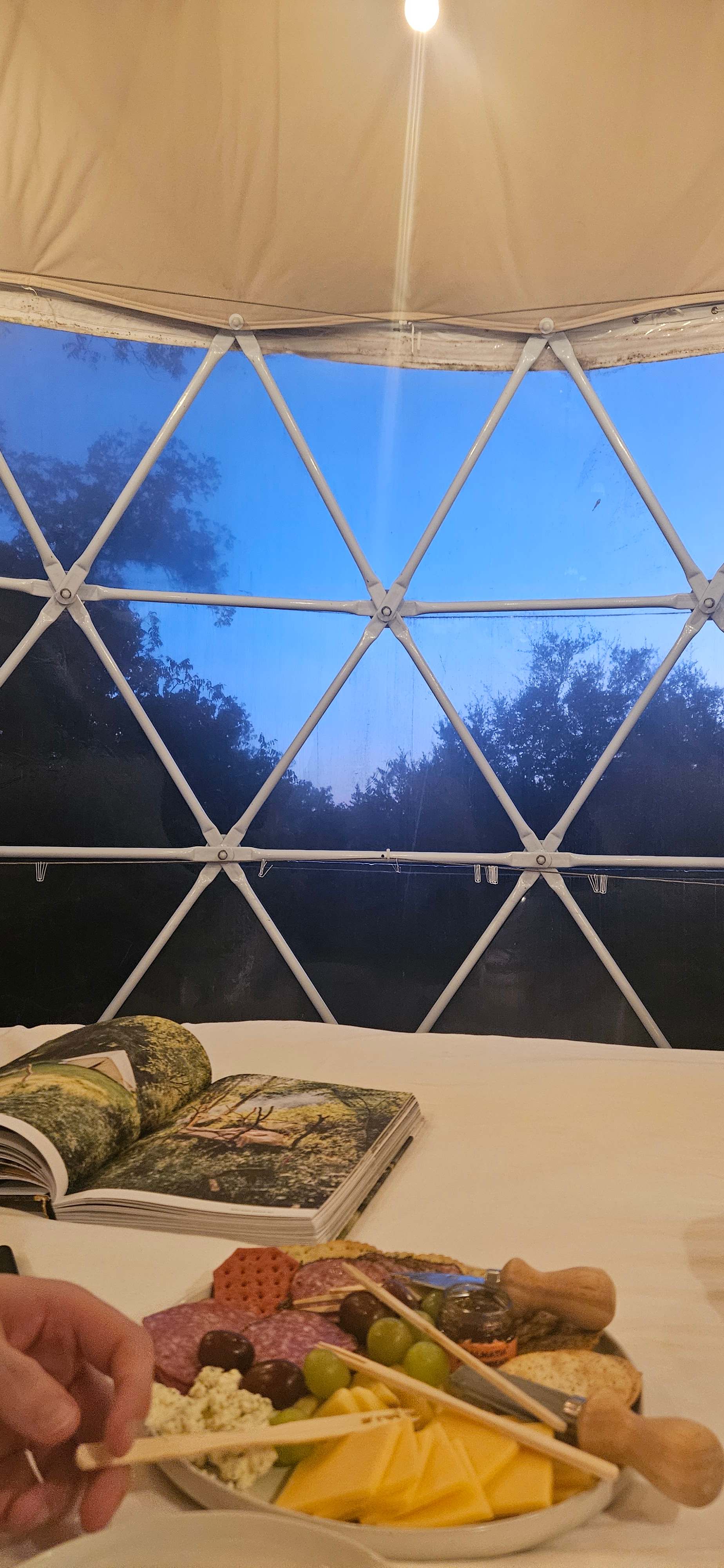 Bed view! 
