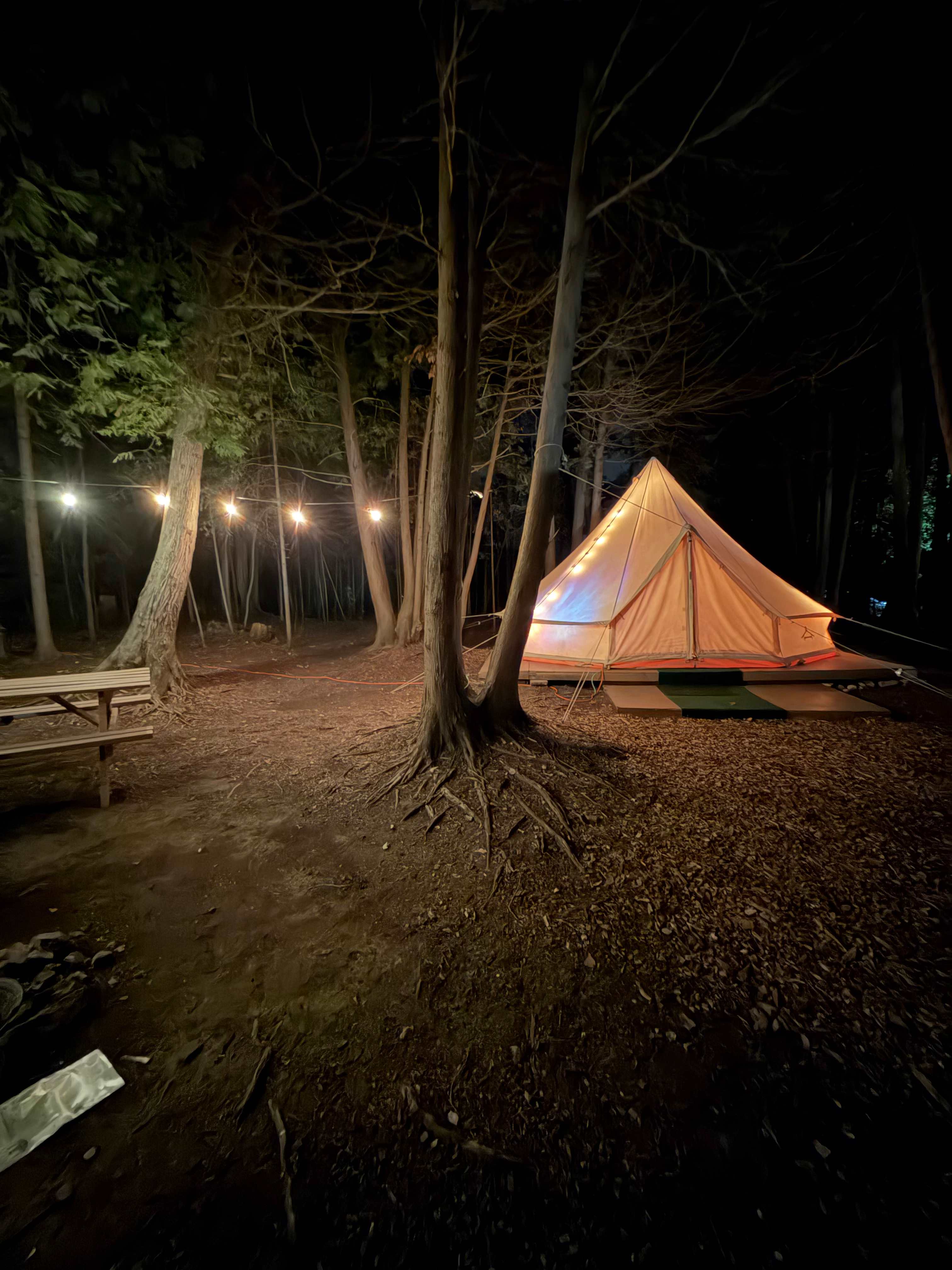 Tiki Hut Yurts