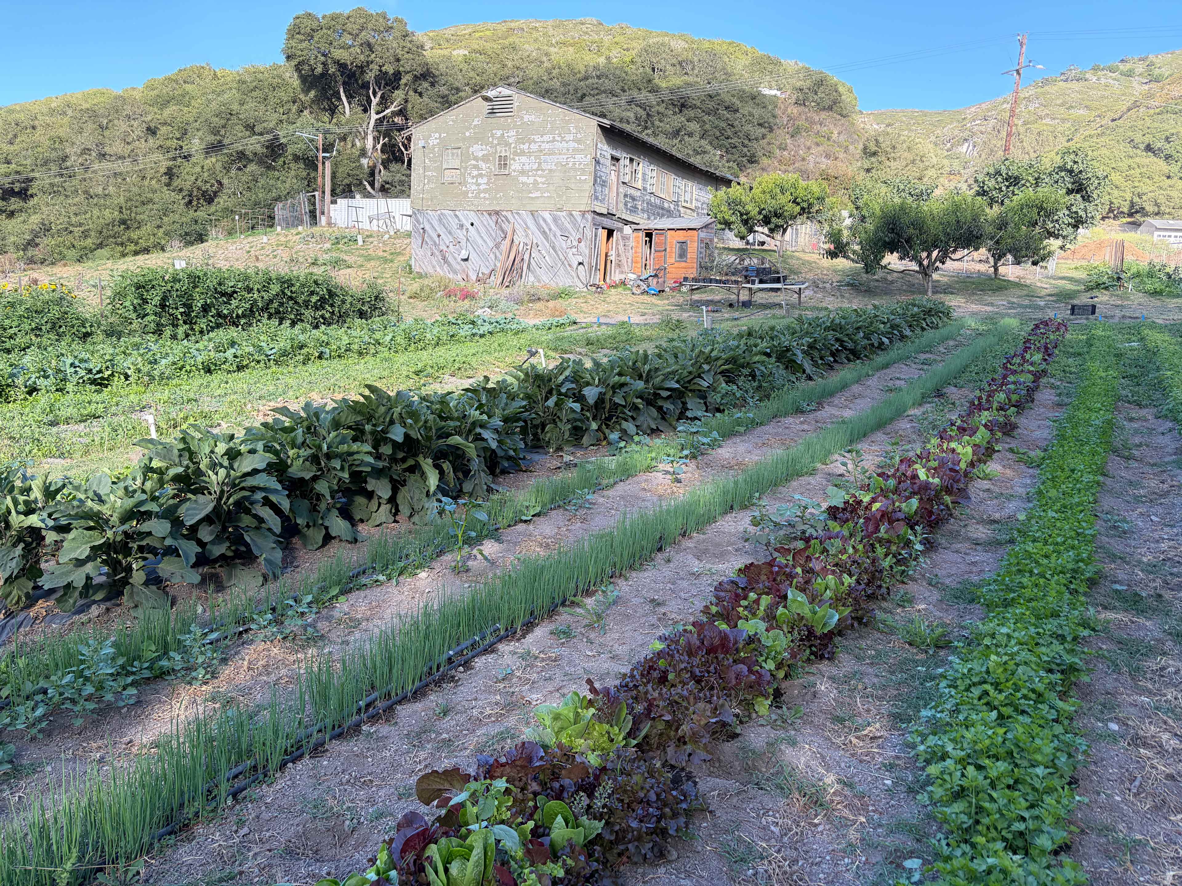 Dare 2 Dream Farms