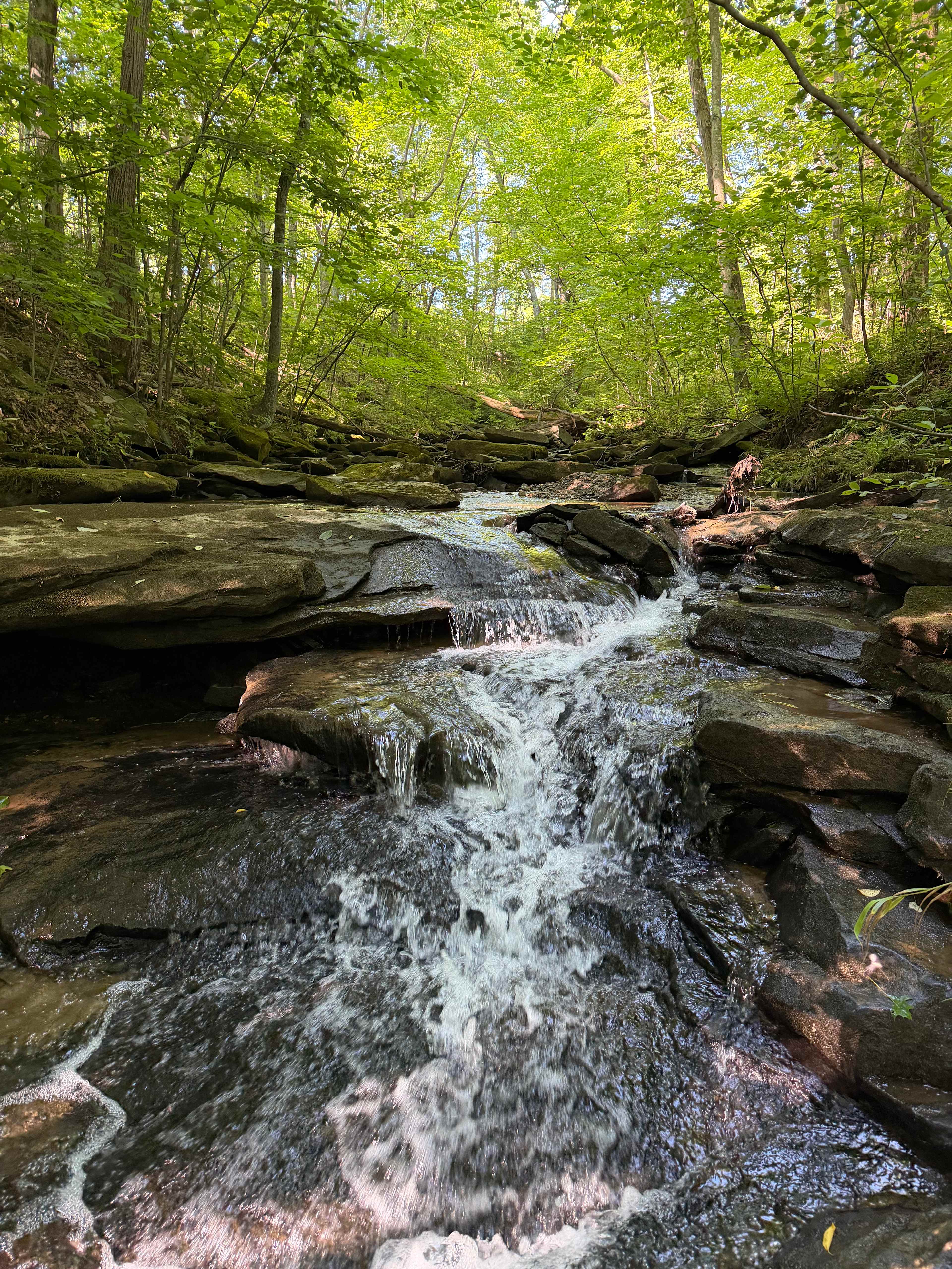 River Hills Above the Allegheny