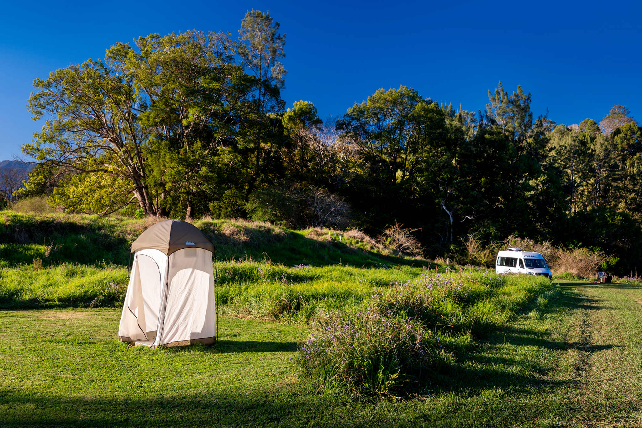 Bellinger River Camping