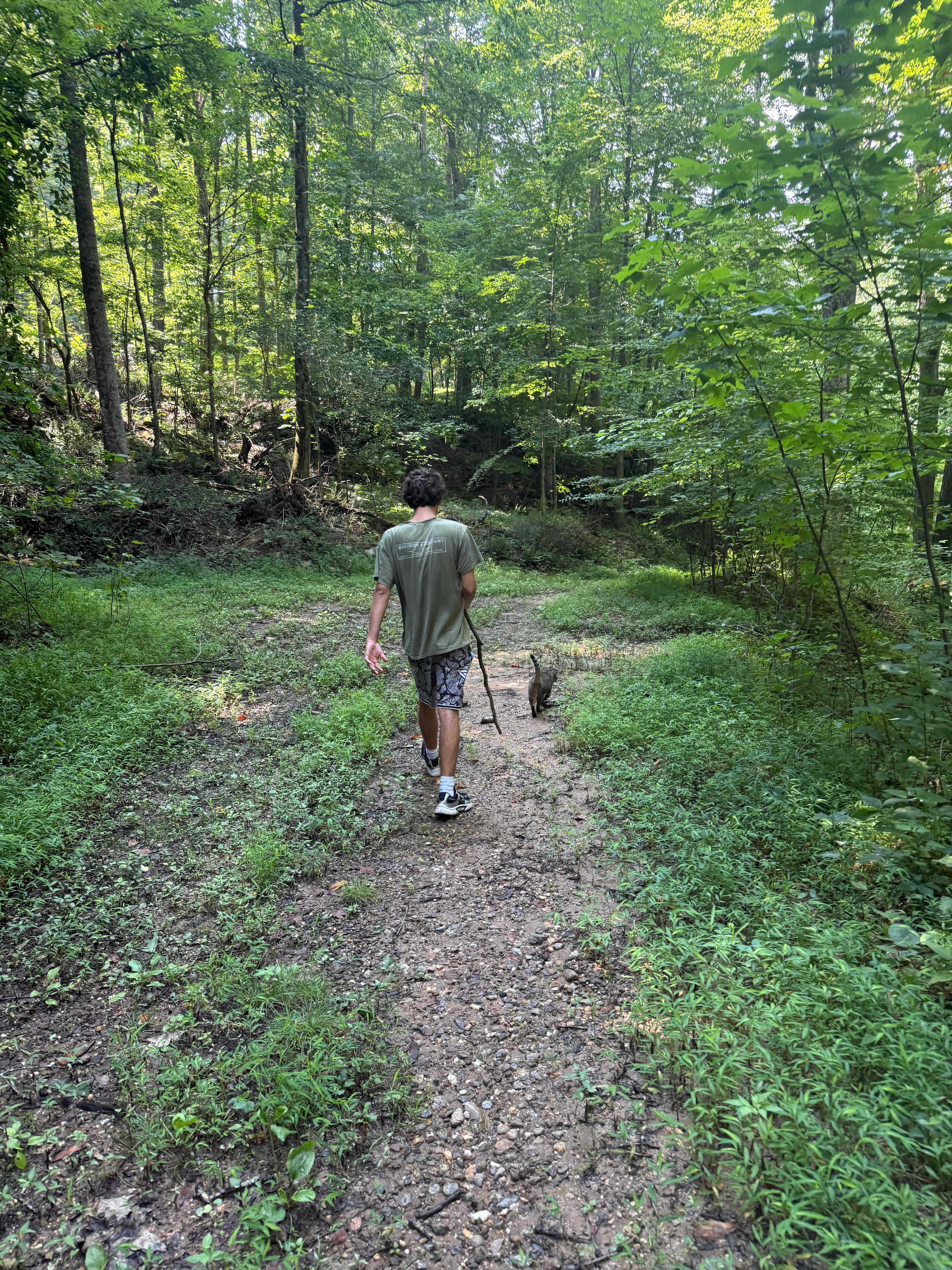 Plumtree Campground Tents & Cabins