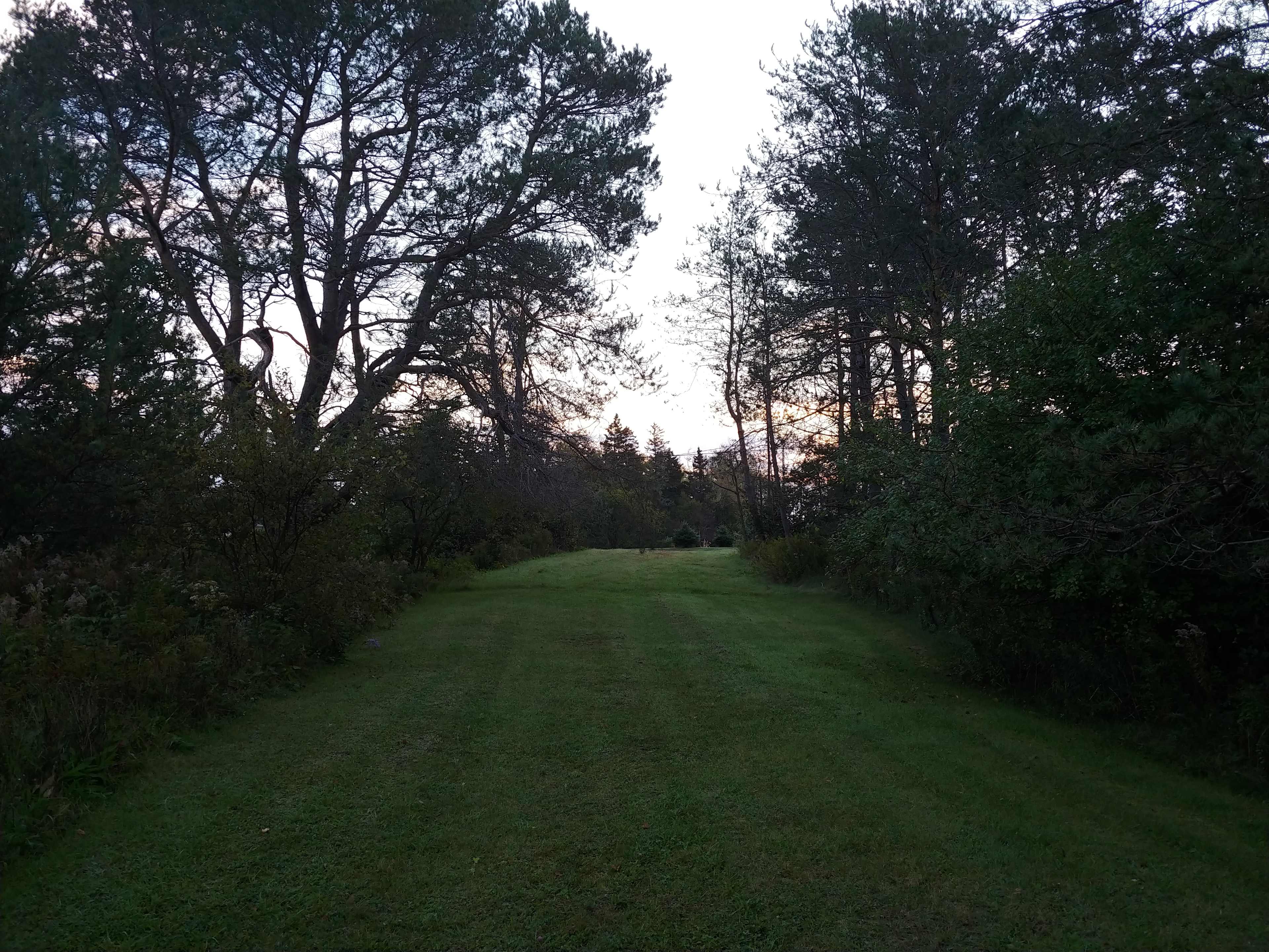 Sunset Hill