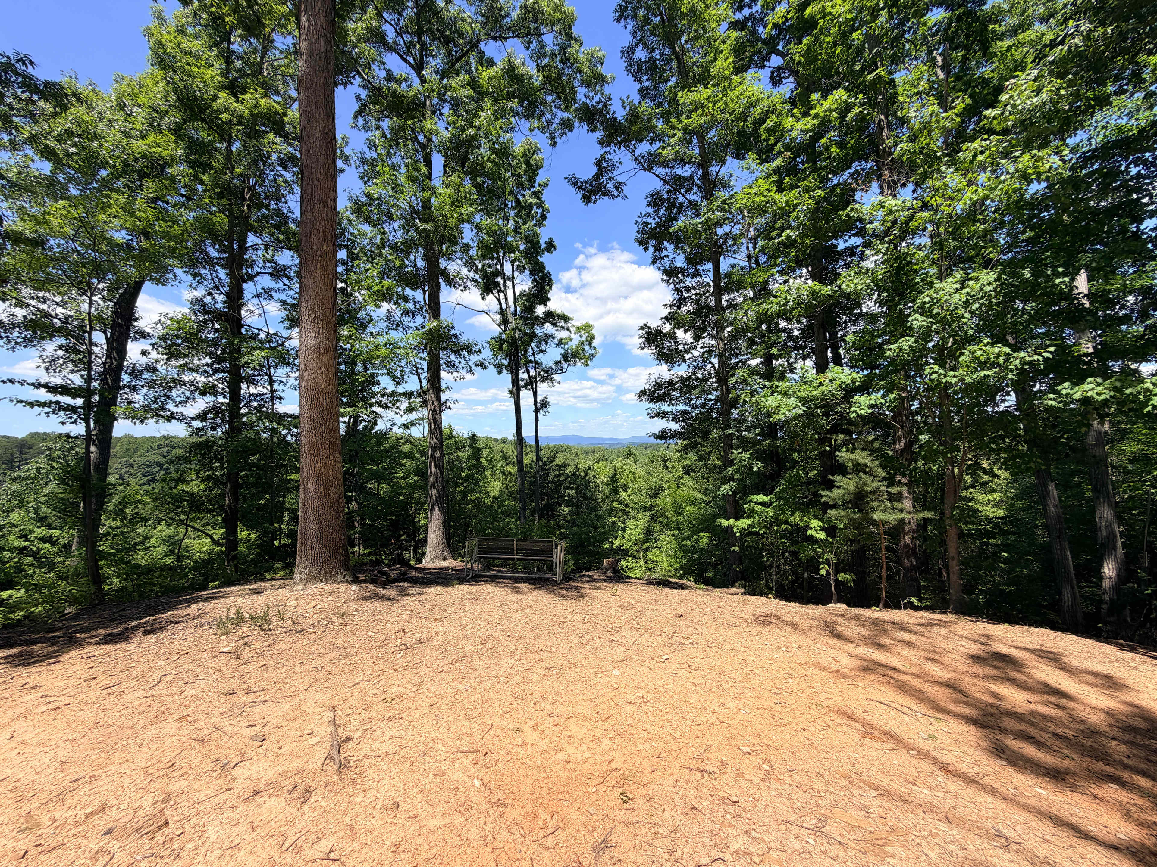 The Rocky Knoll