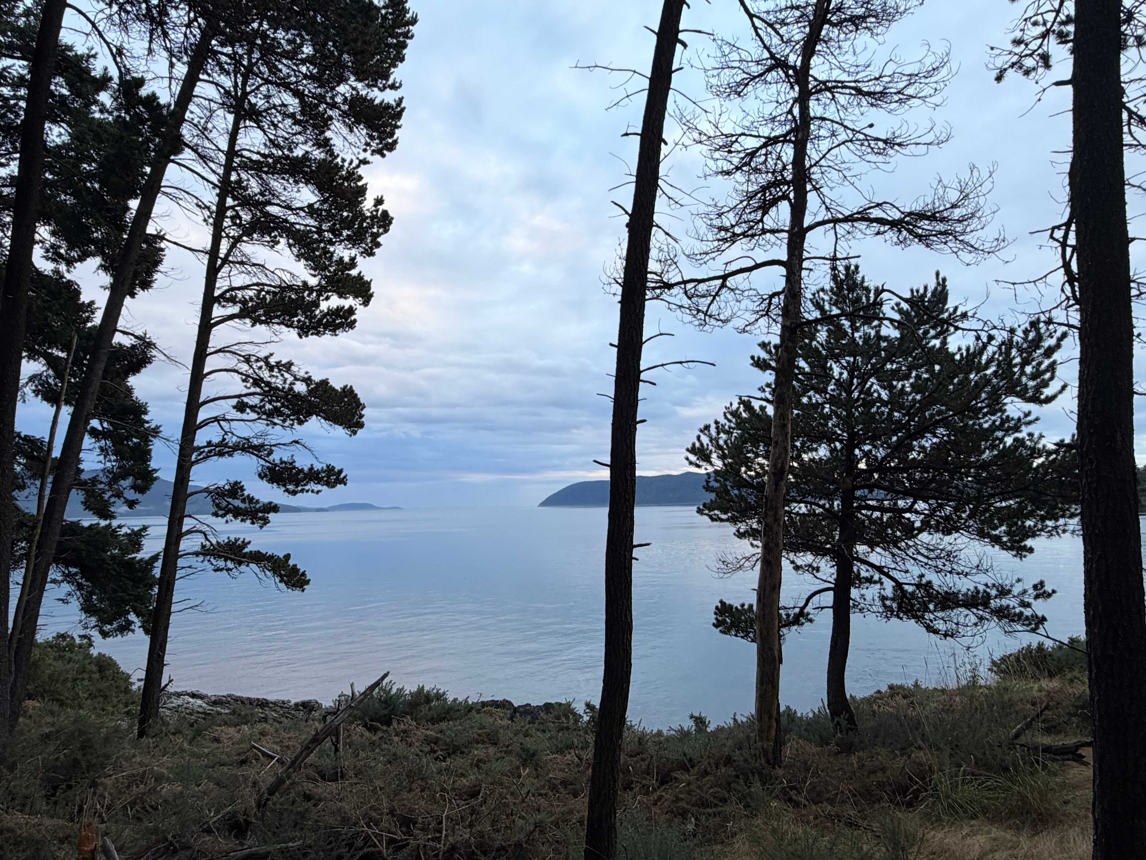 View from our tent
