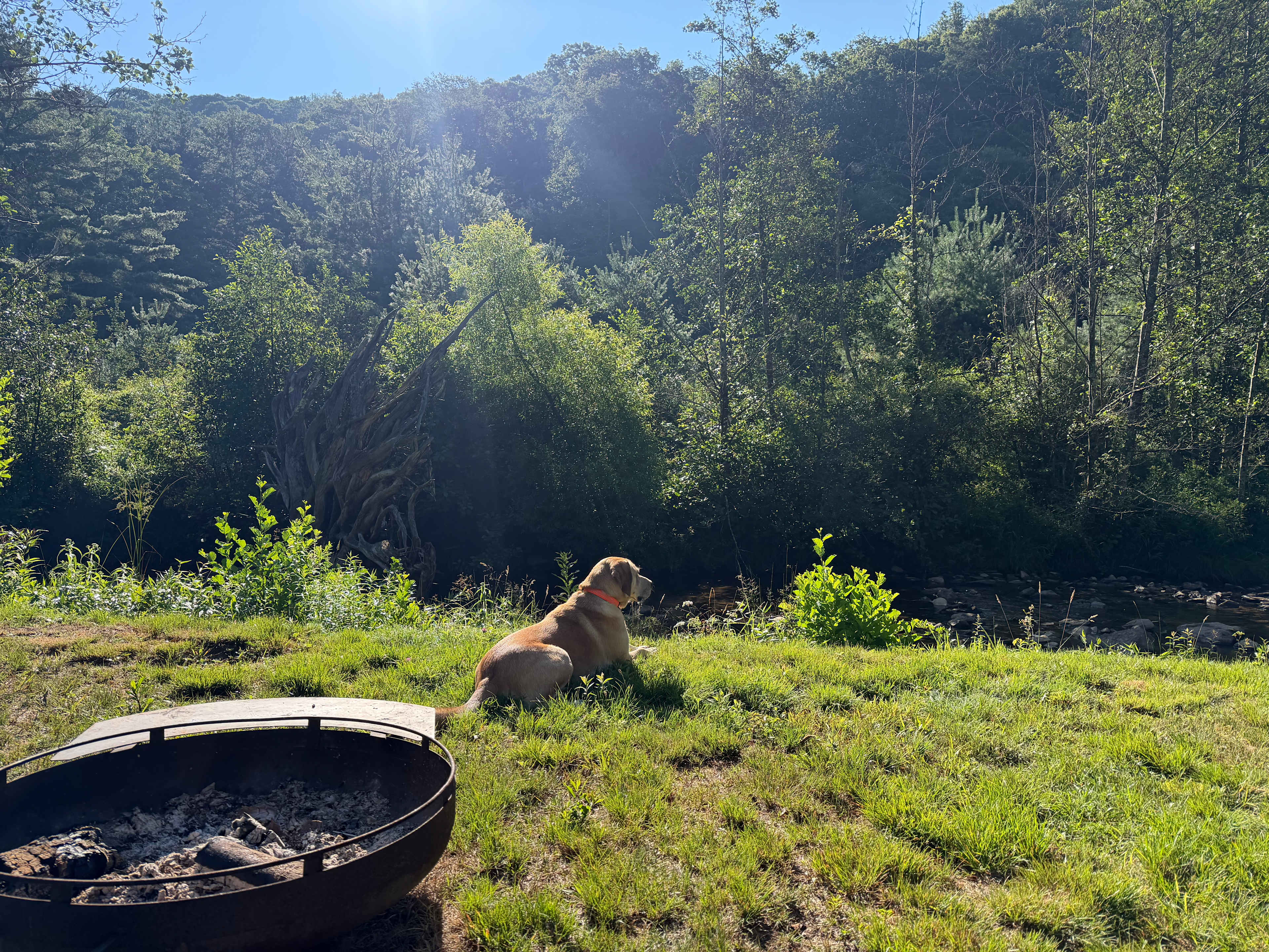 Homestead Overland Virginia