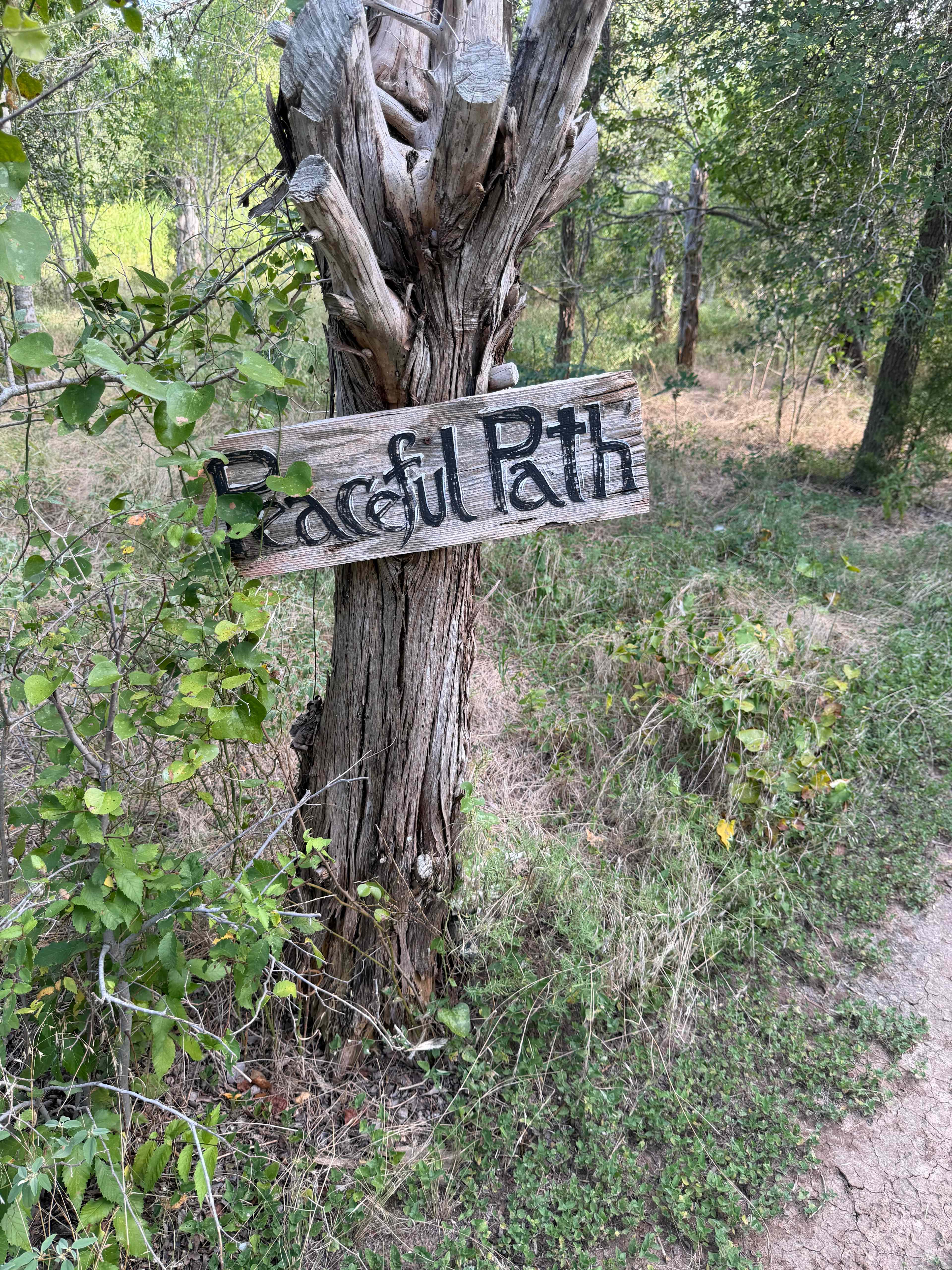 Exploring trails!