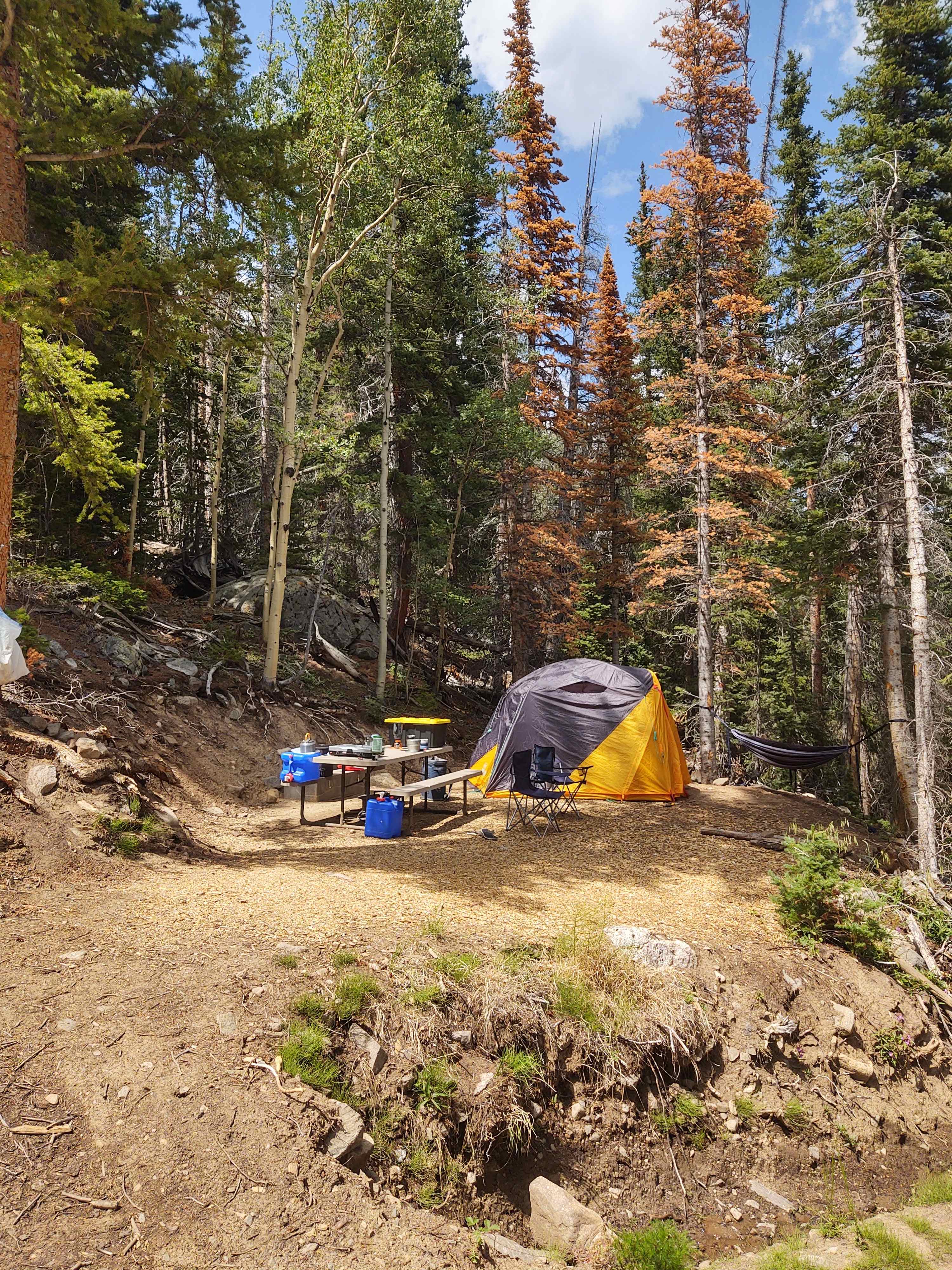 Picture of the site