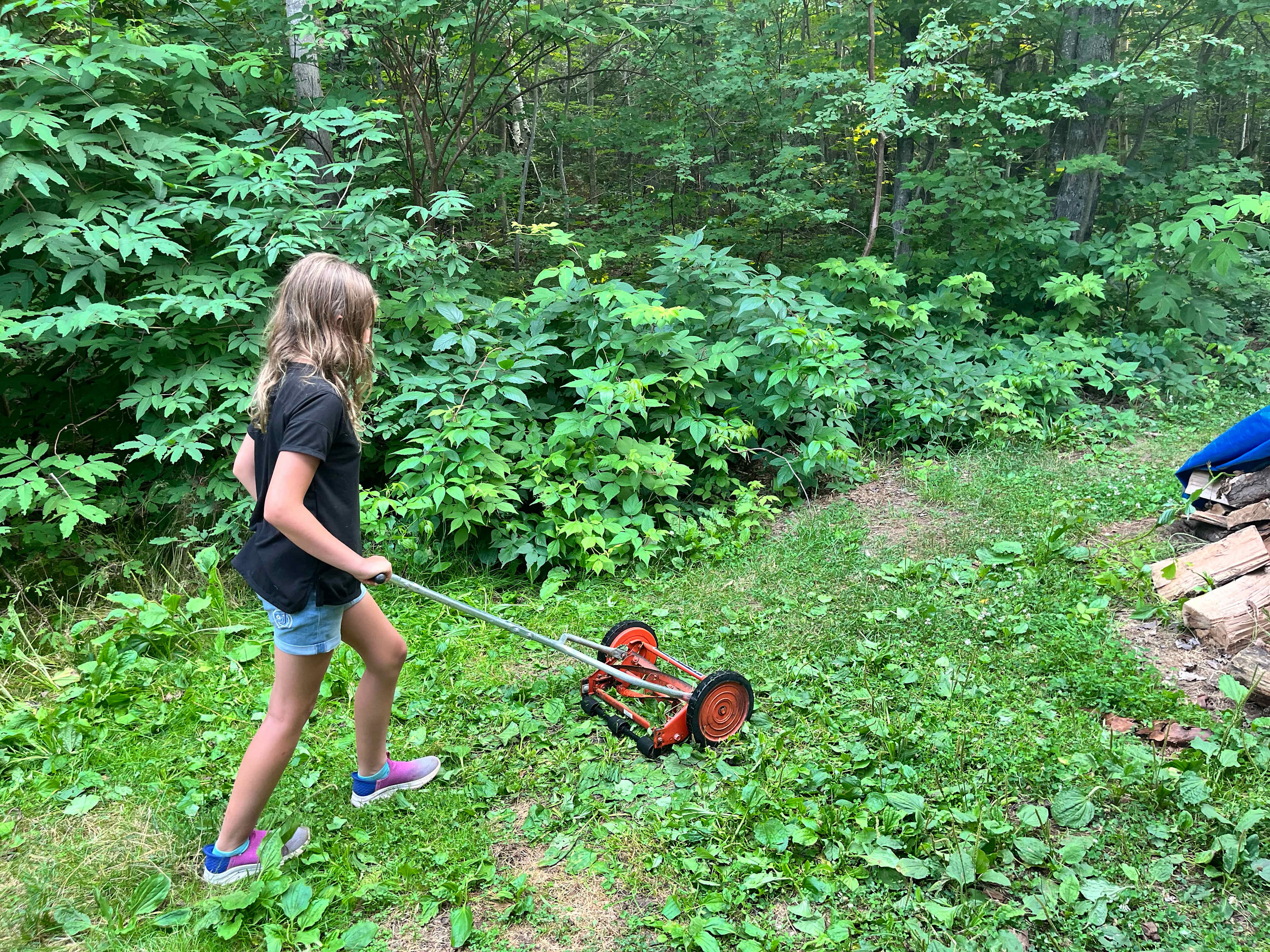 The girls wanted to mow! 