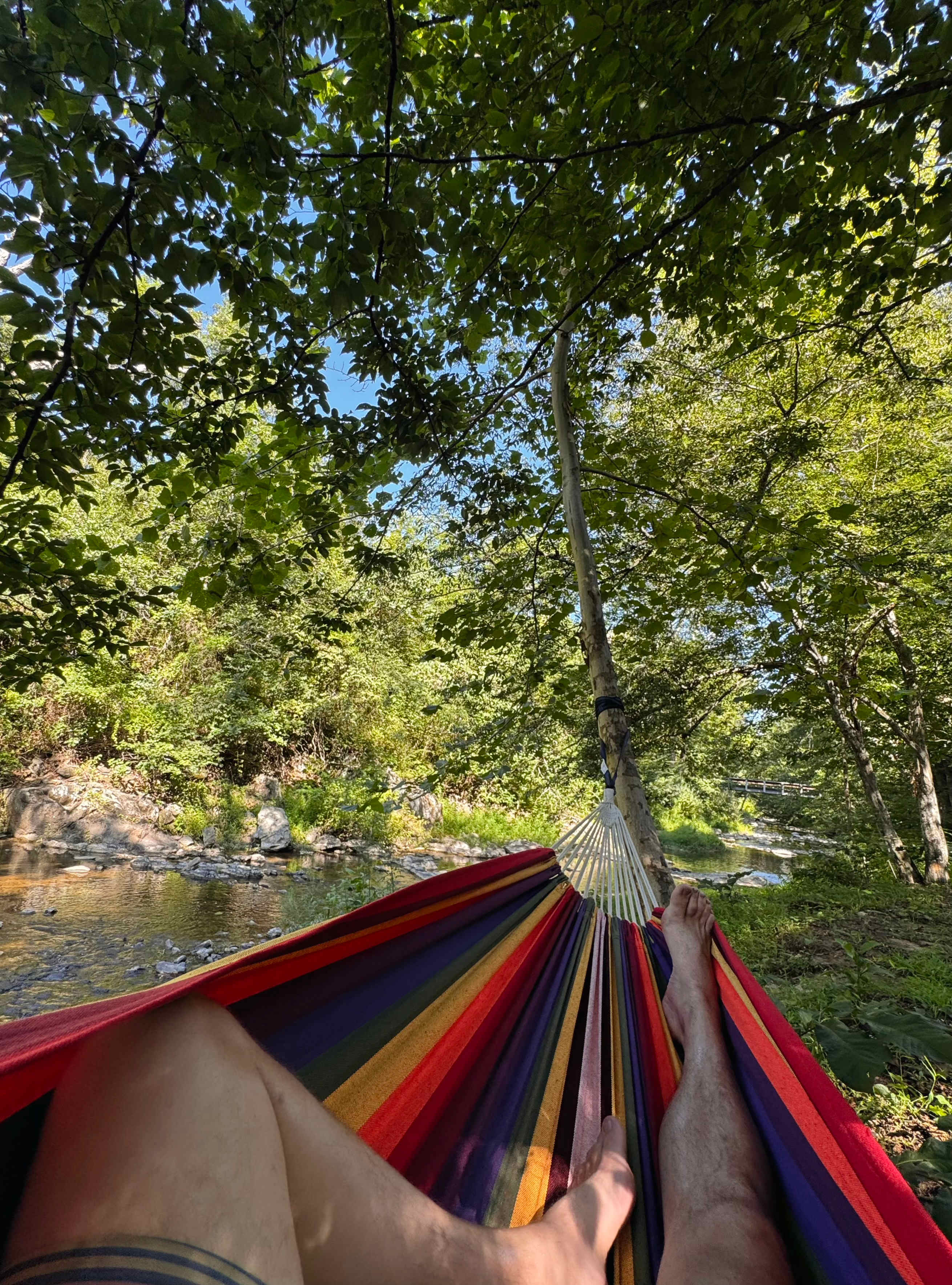 Campsite by creek 