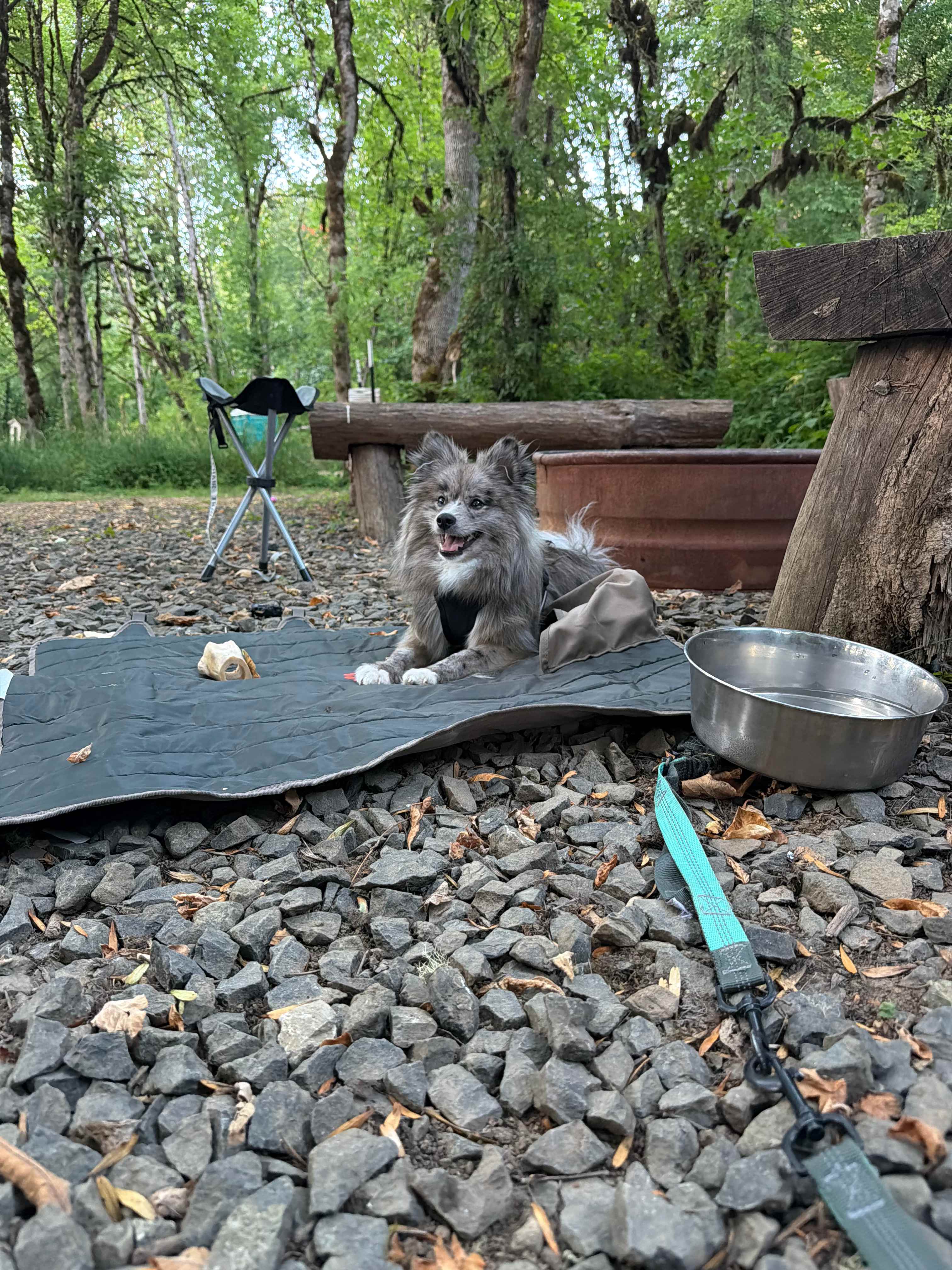 Camp Hope
