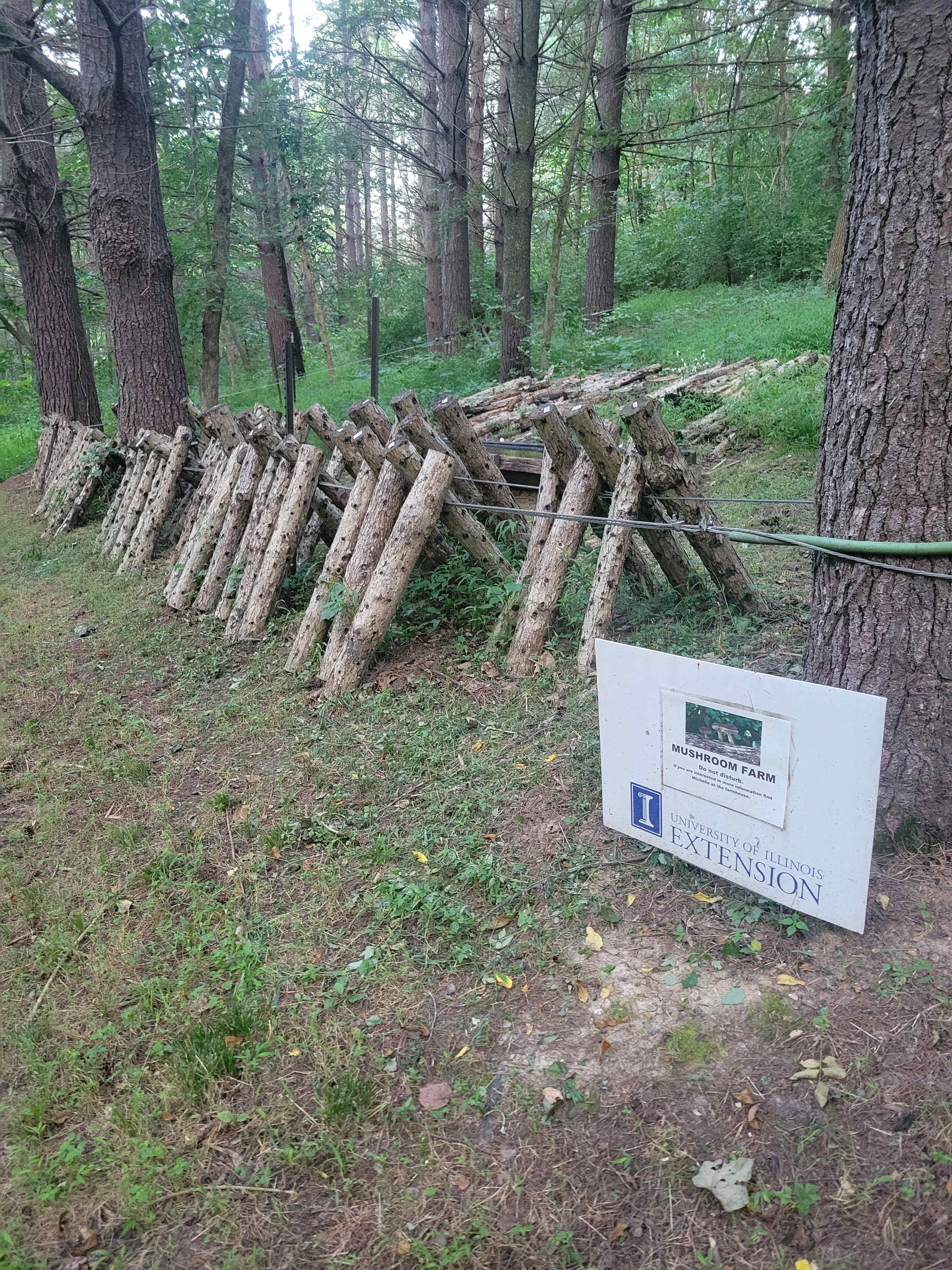 McCully Heritage Project