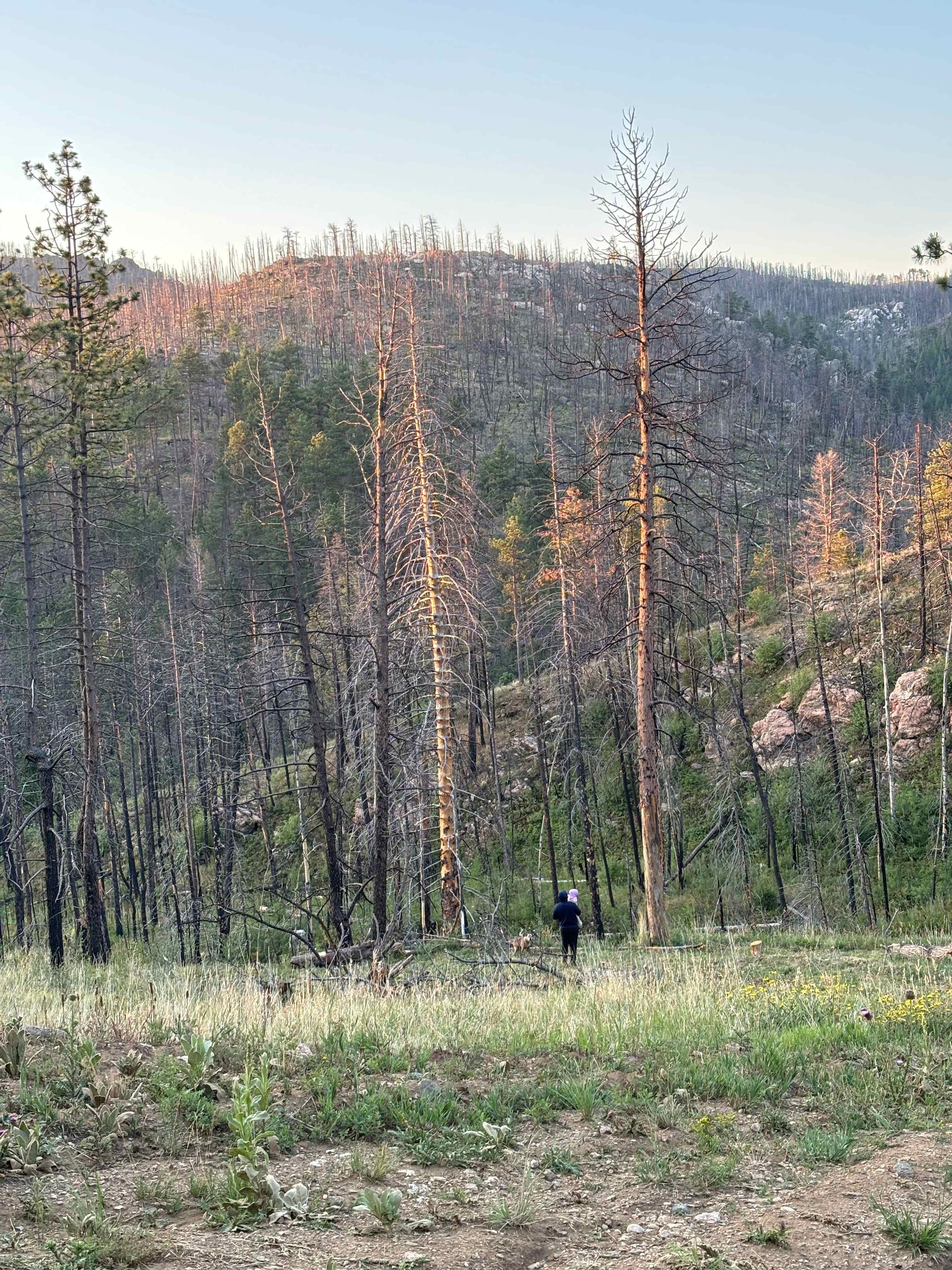 Buckhorn Creek Sites