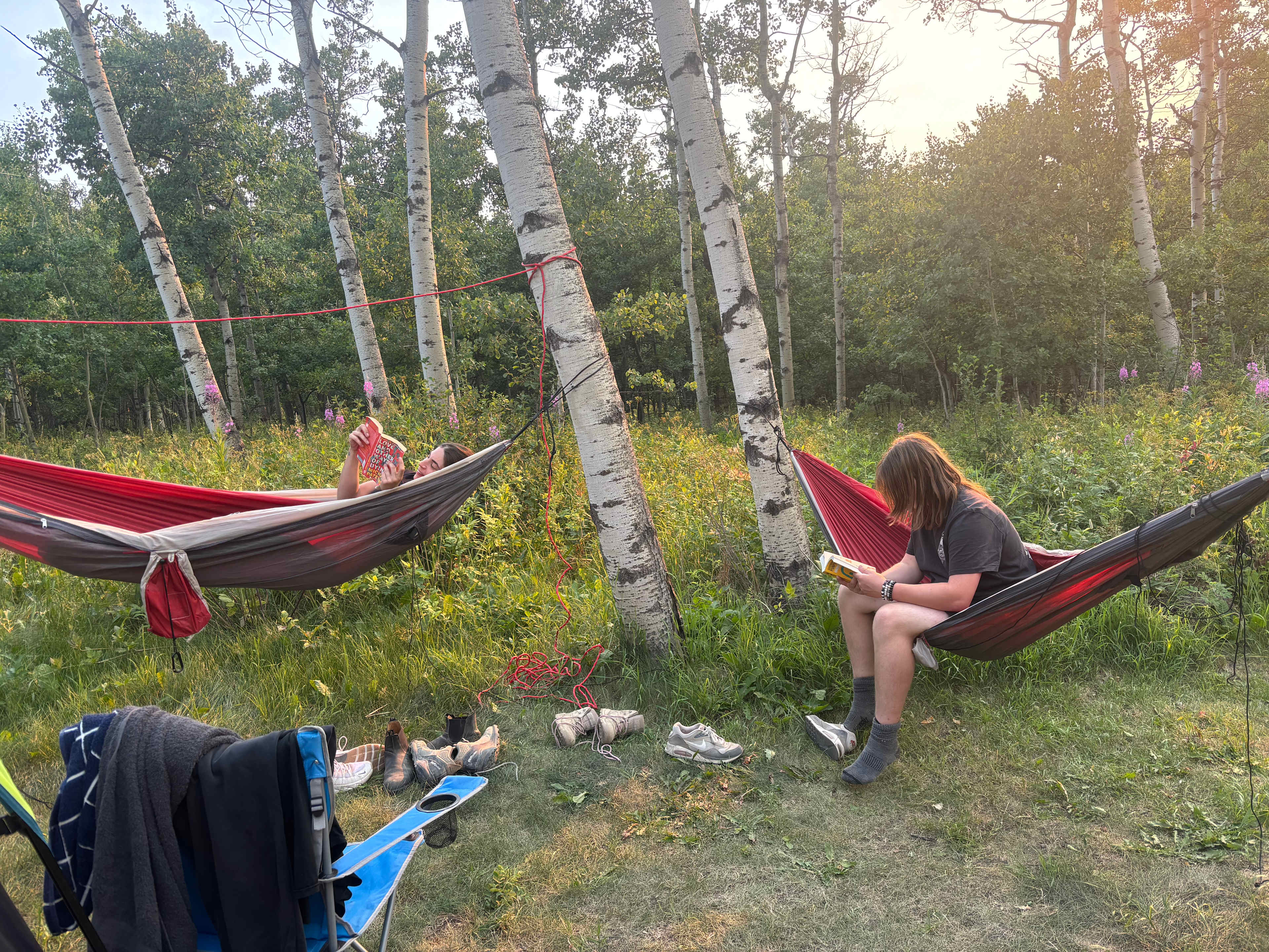 Great hammock trees!