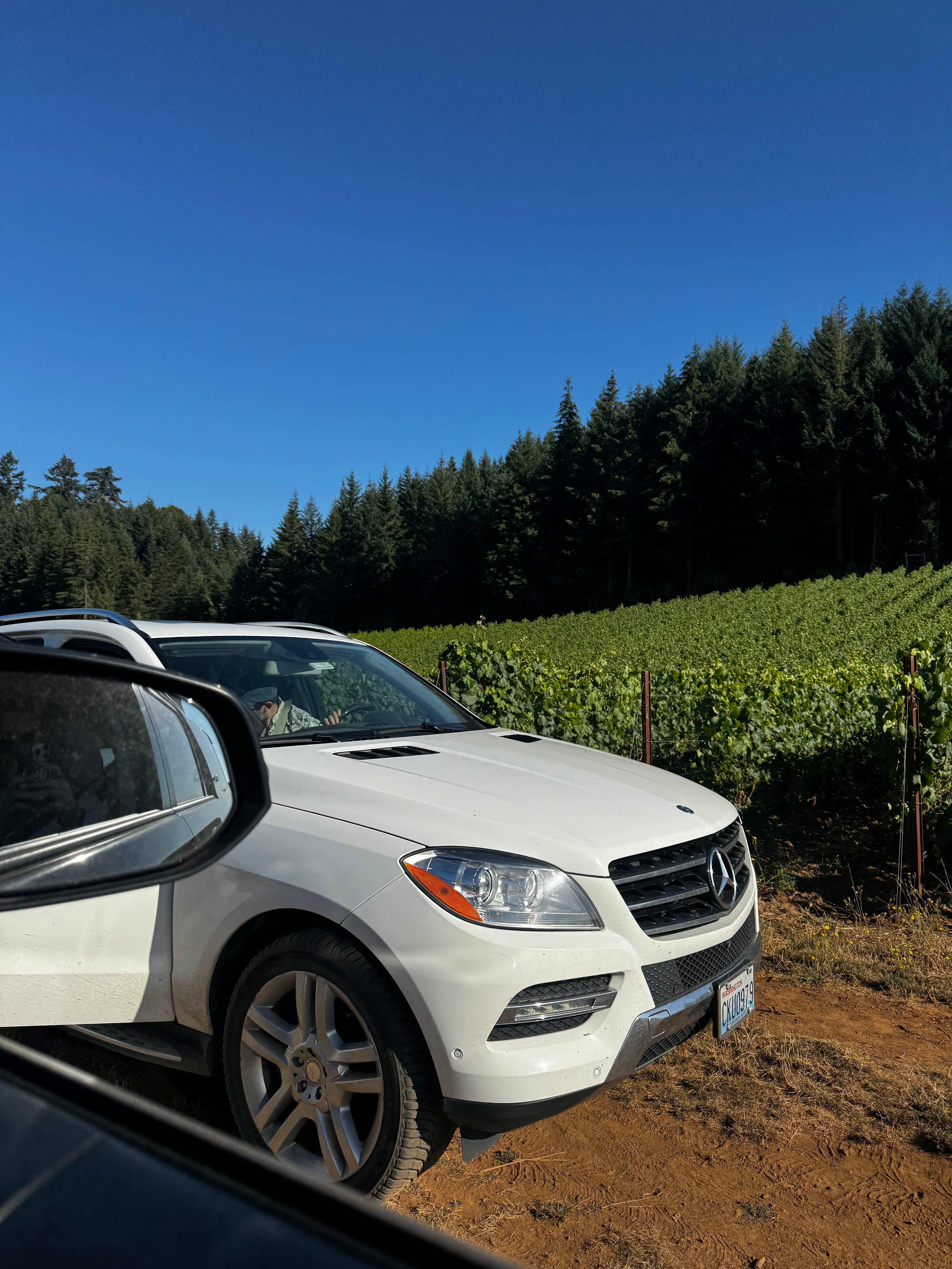 Old Wagon Road Vineyard