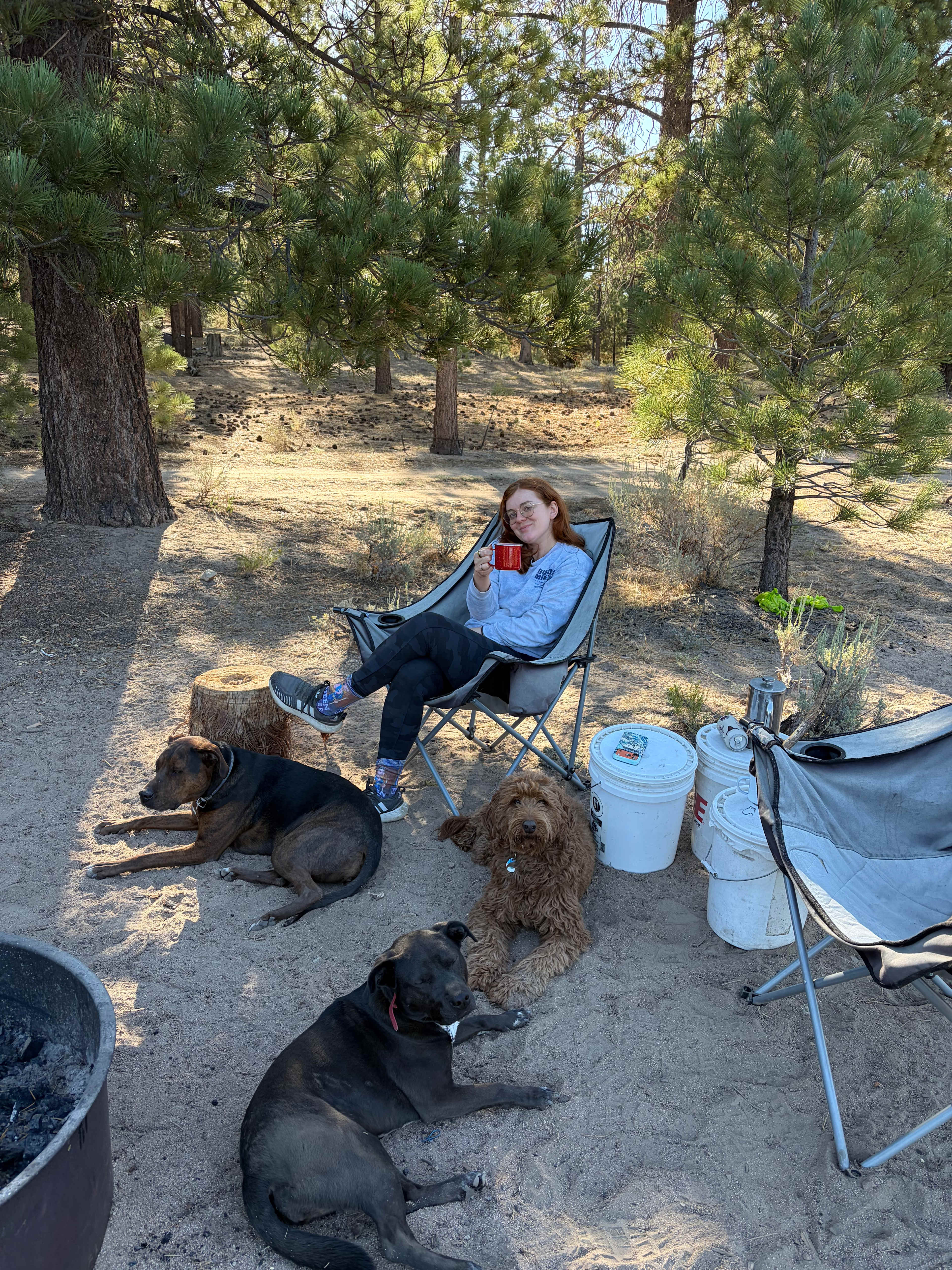 Holcomb Valley Ranch