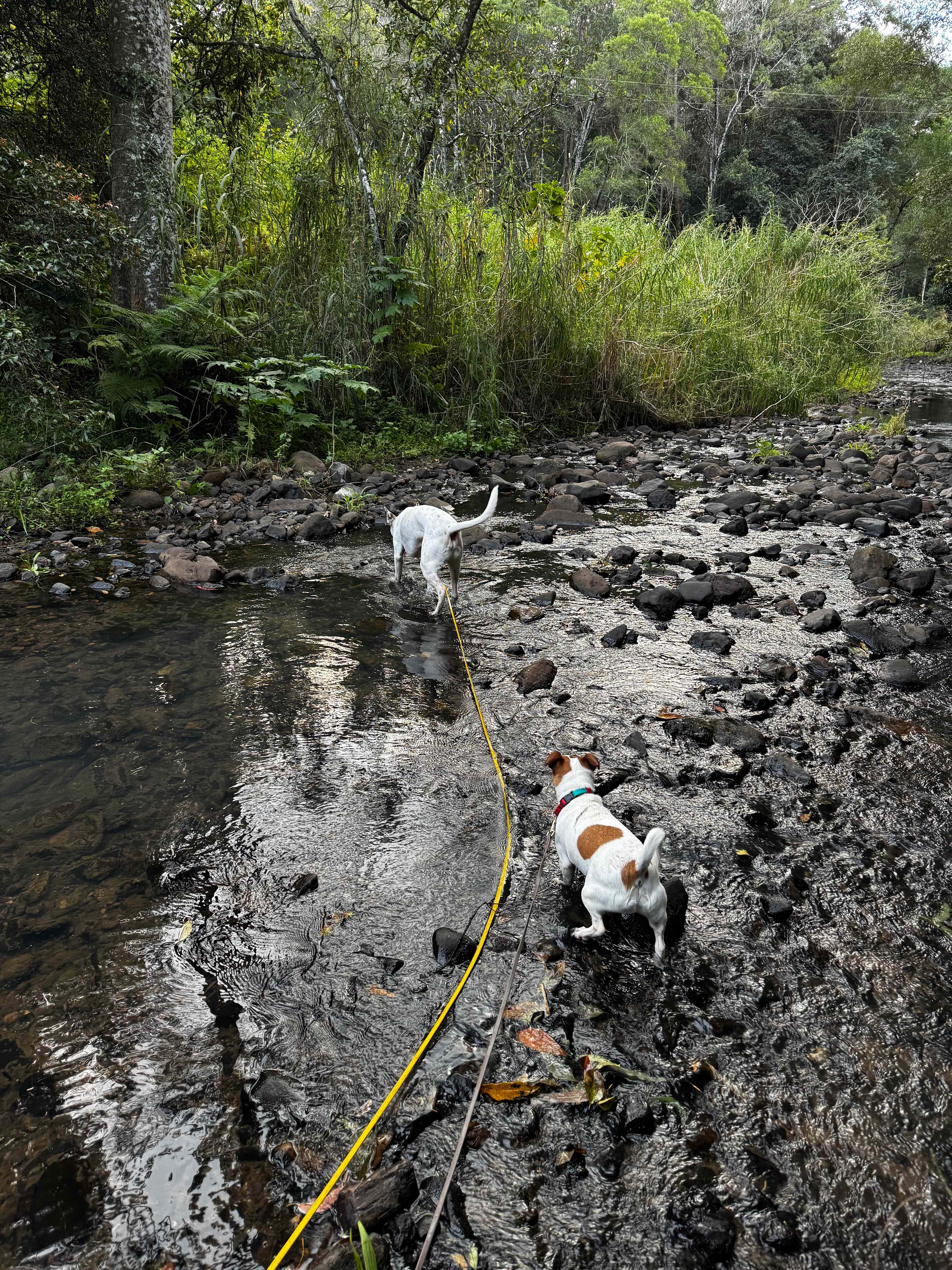 Trickling Waters Retreat