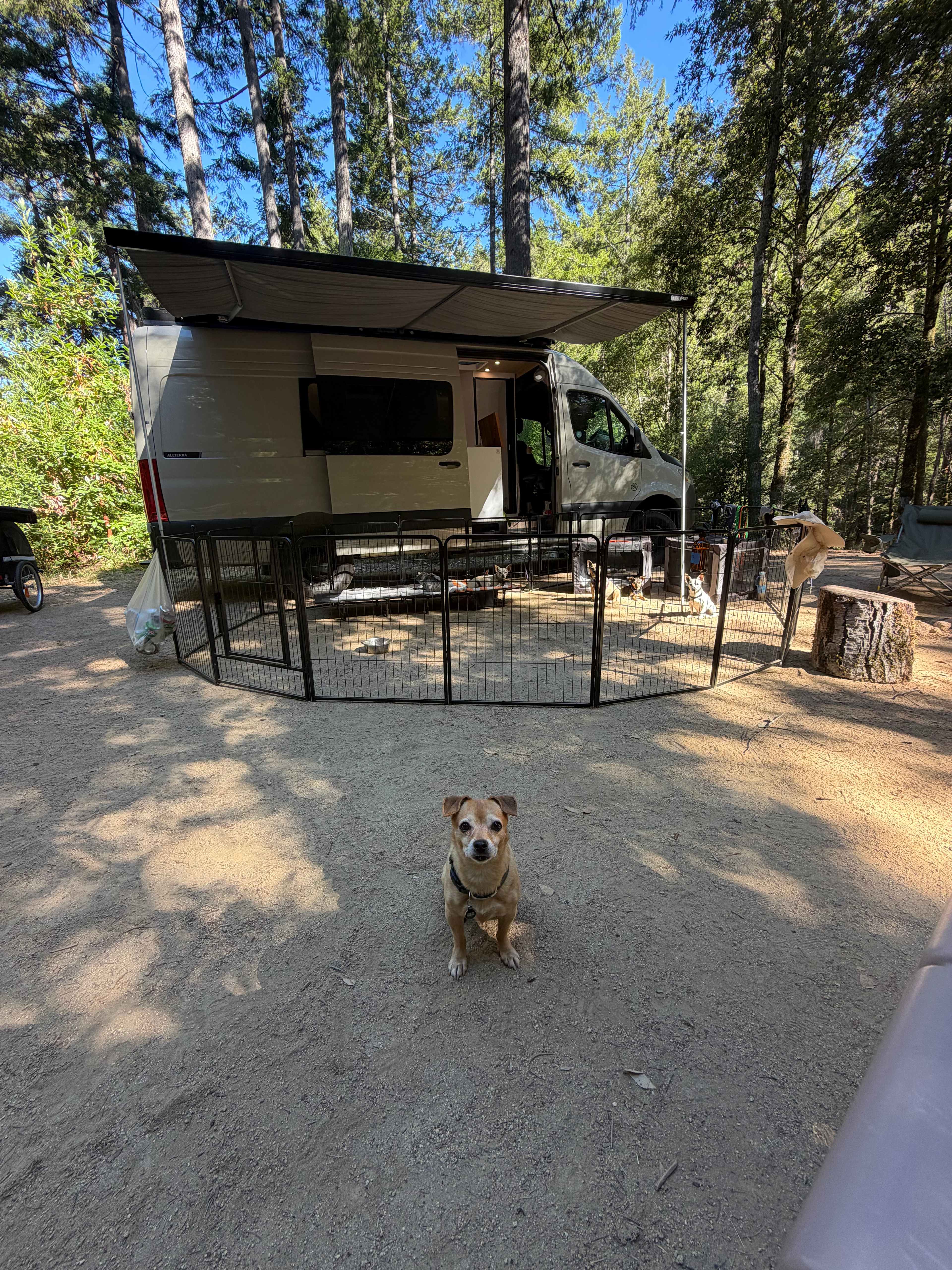 BANKS RANCH IN THE REDWOODS