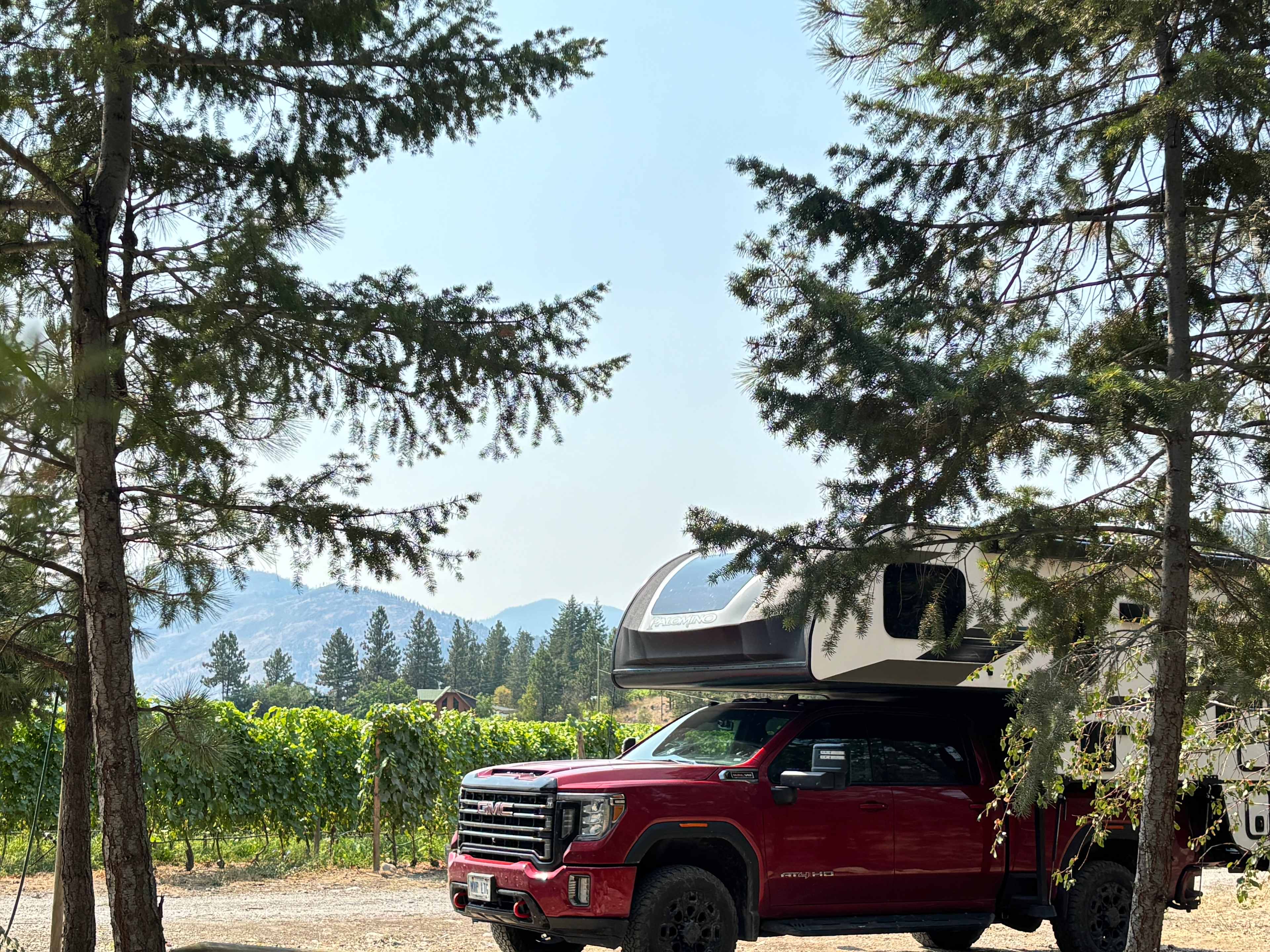 Back Forty Vineyards