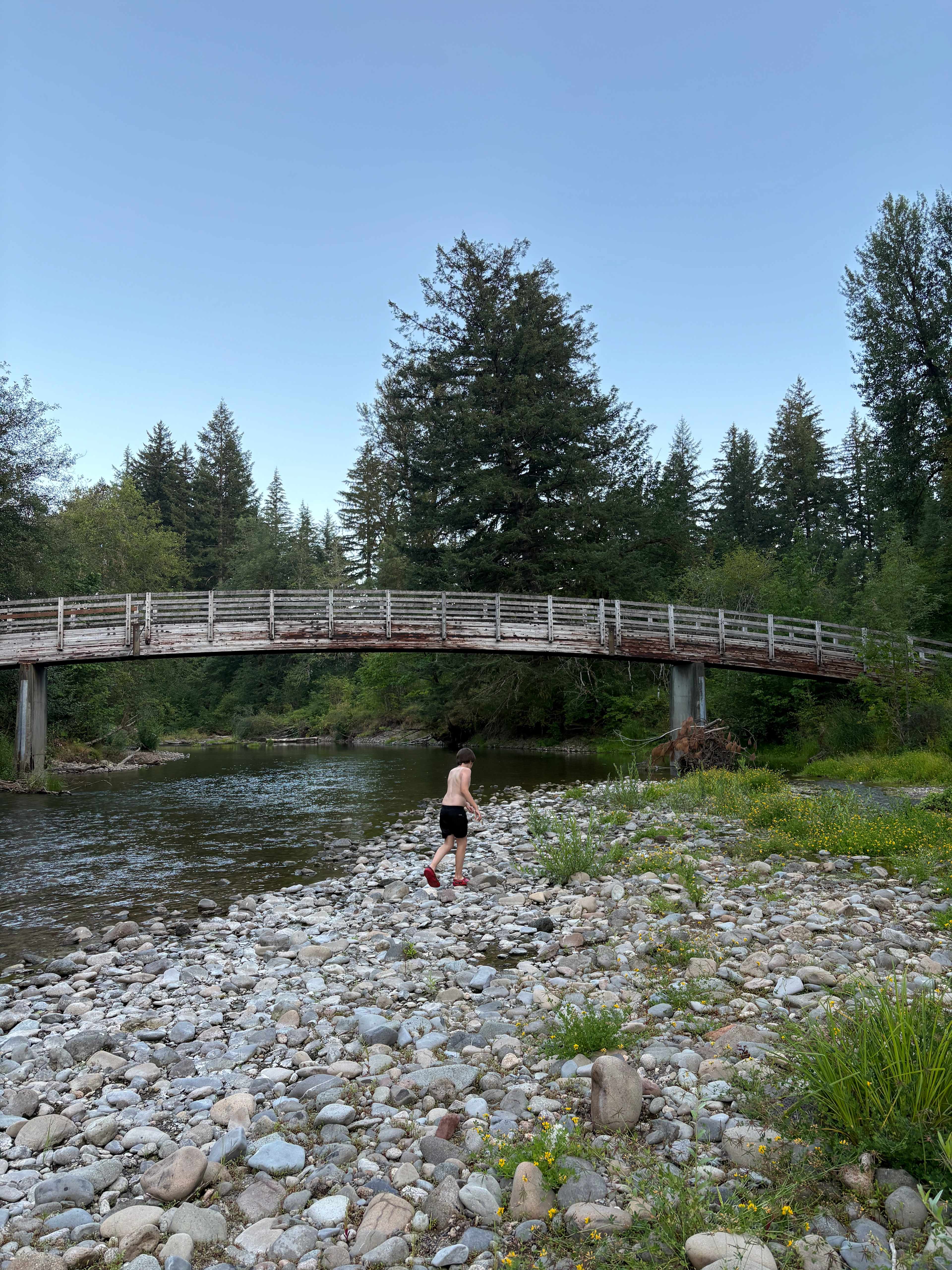 Bridge by the swimming hole