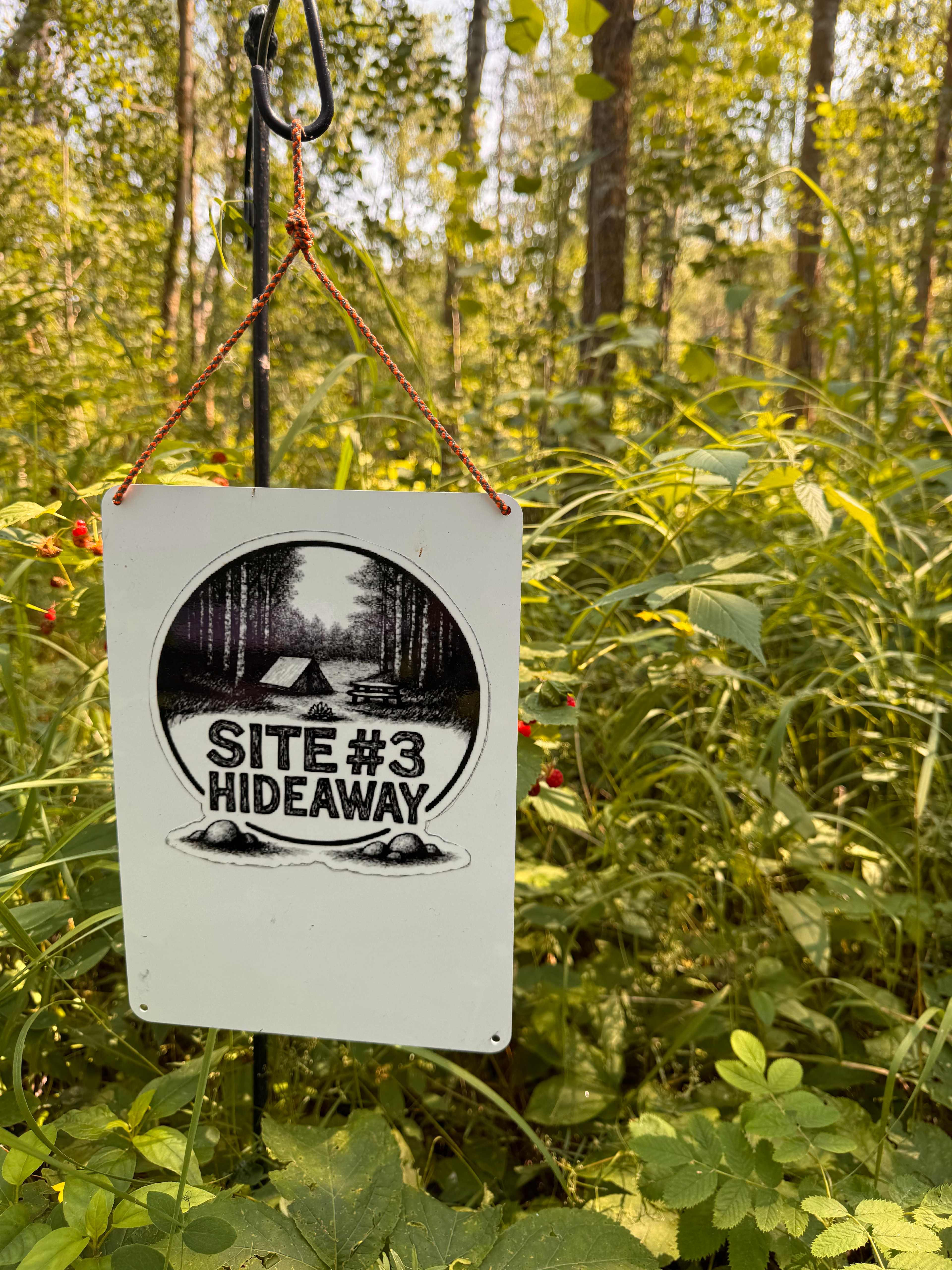 Cute little raspberry bush behind the sign