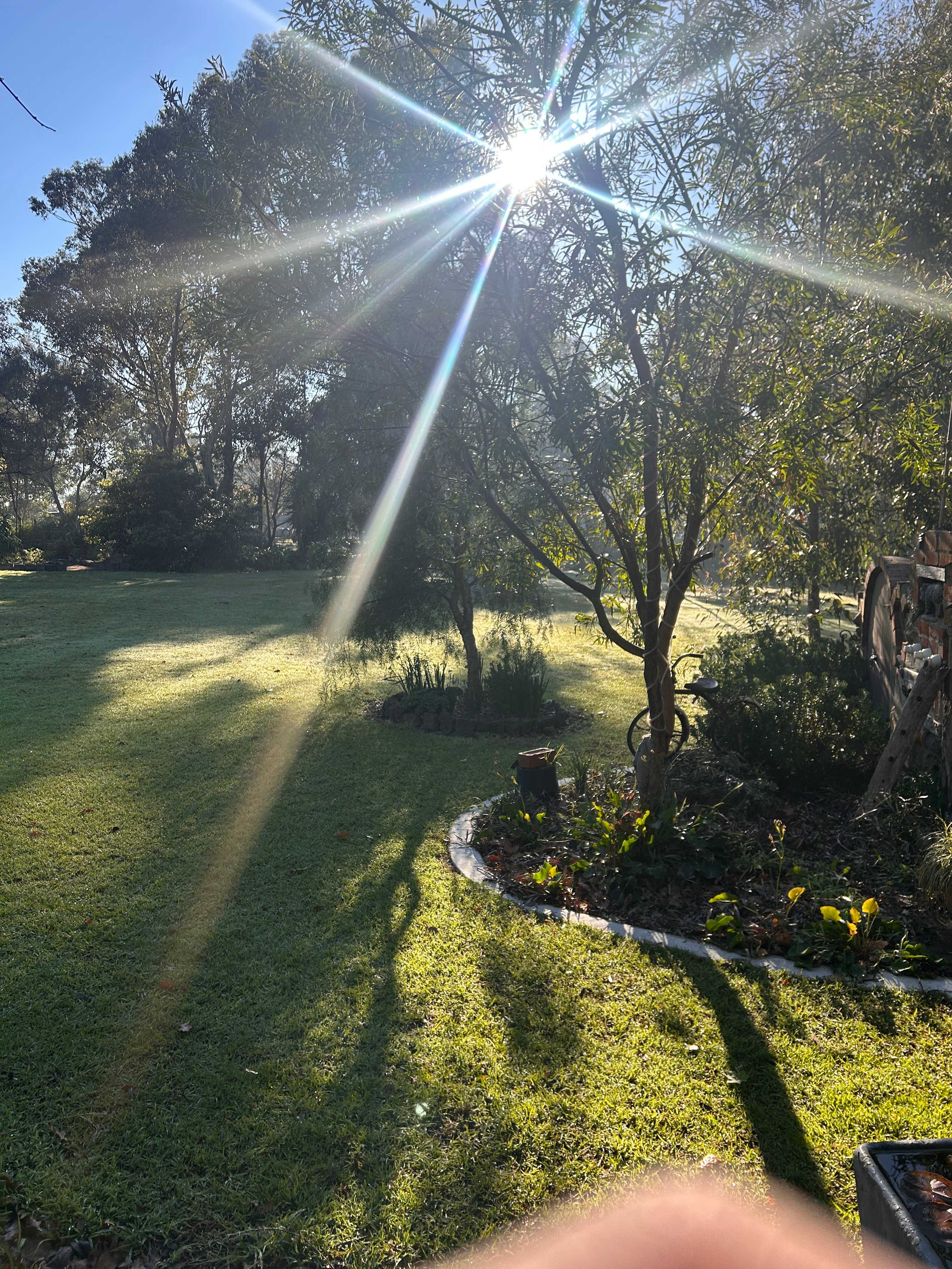 Beautiful misting morning outside the door of the tent