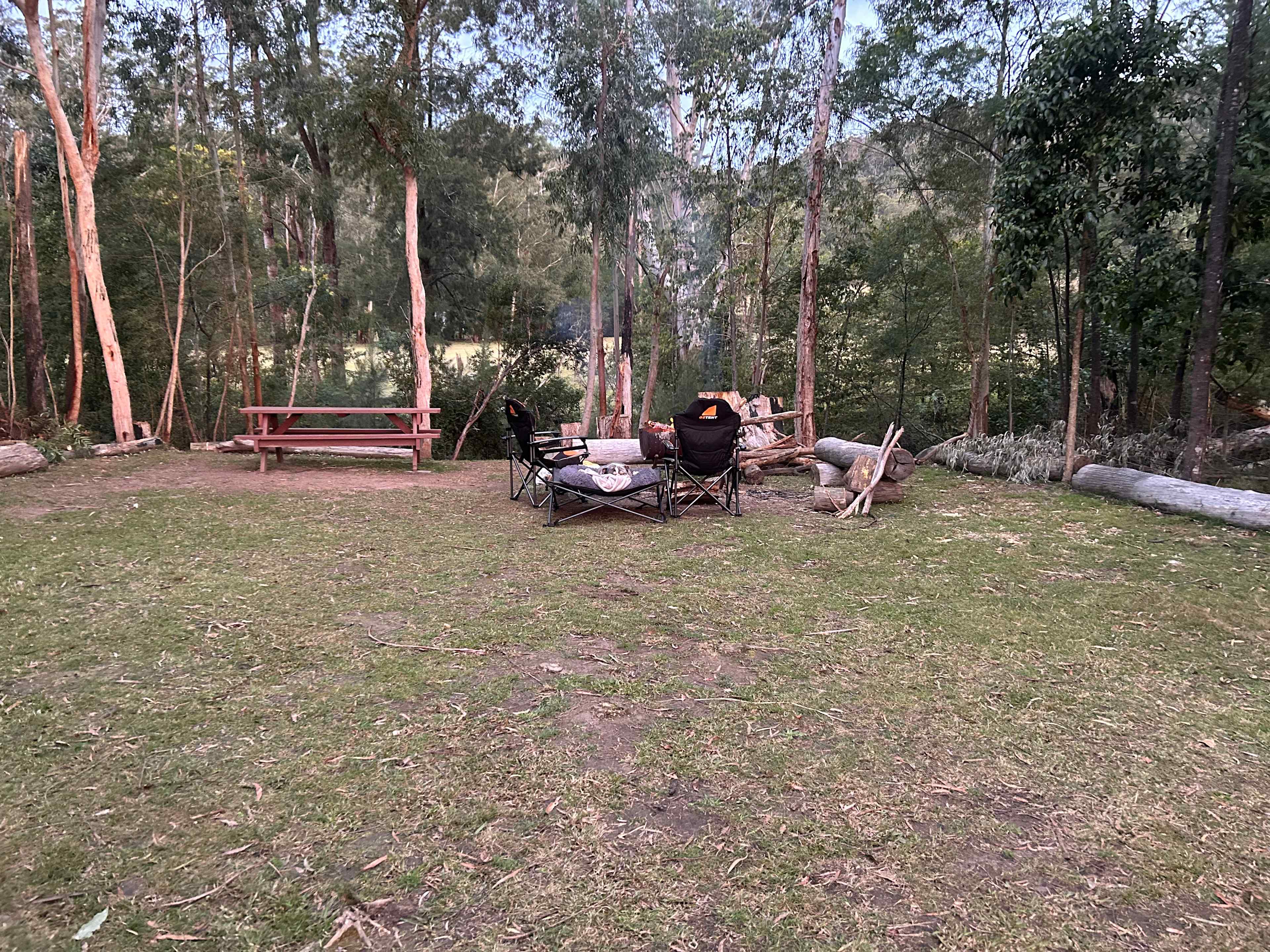 Wombat Hollow
