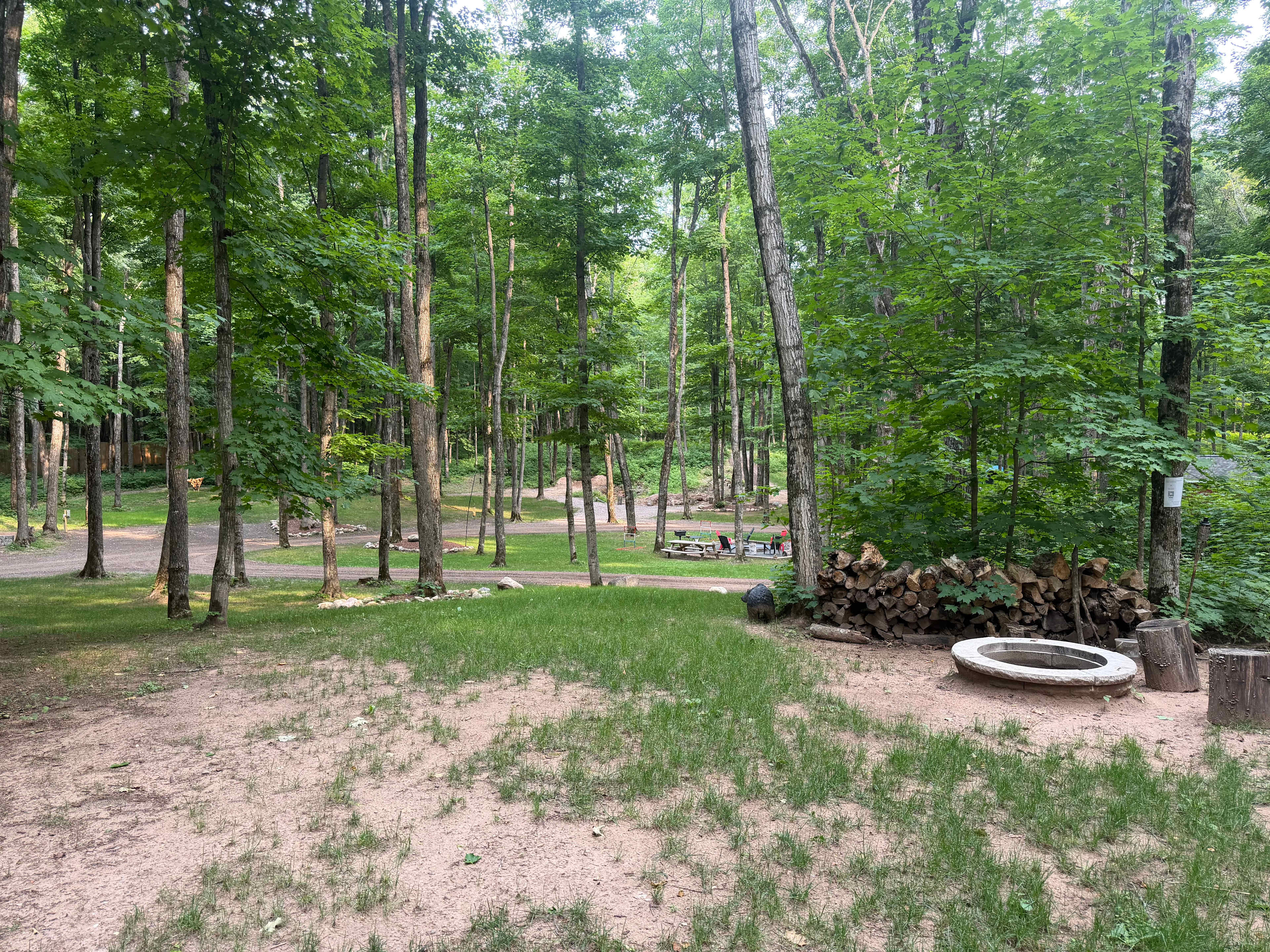 Northern Oasis Camping