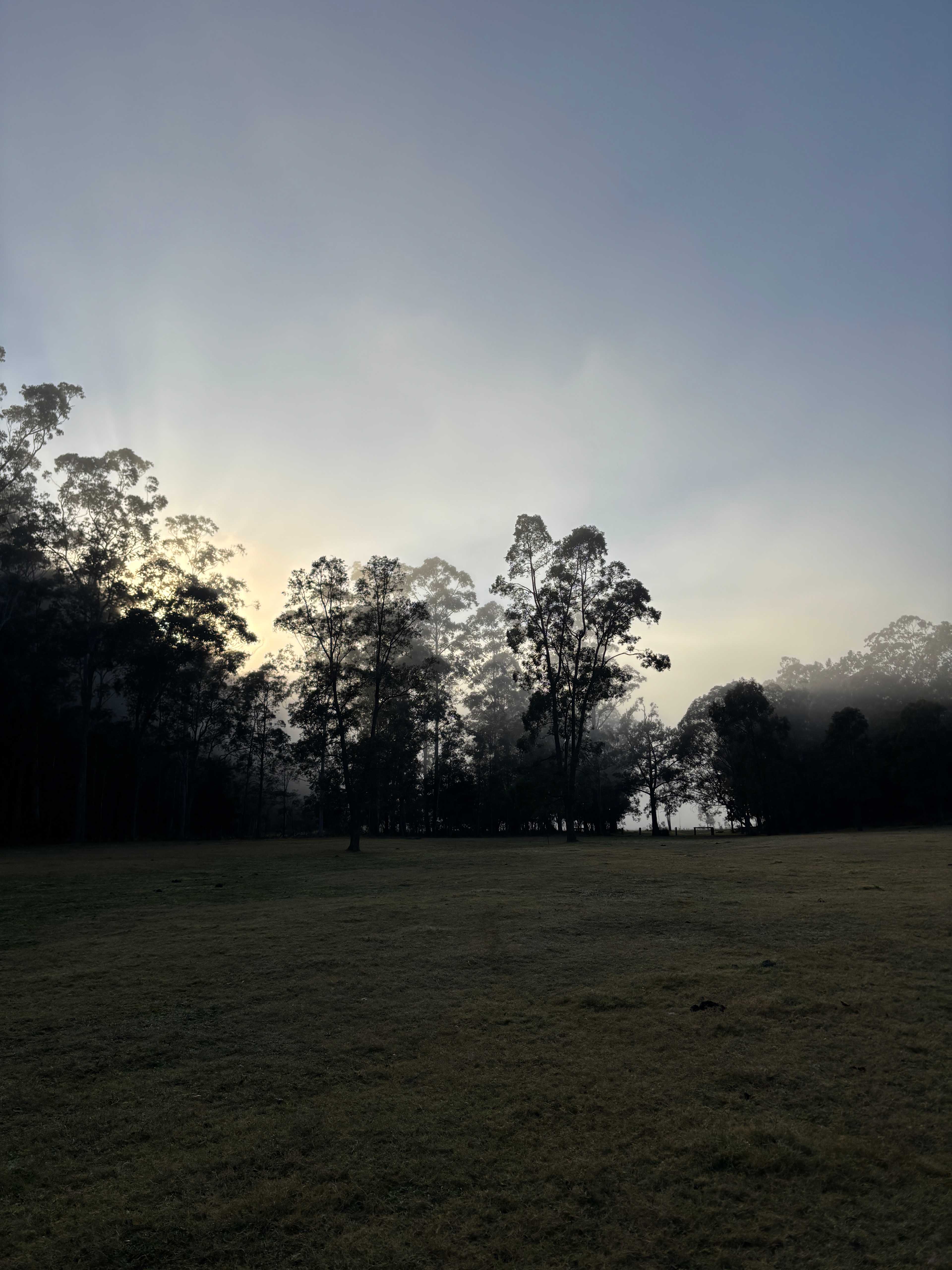 Mist in the morning