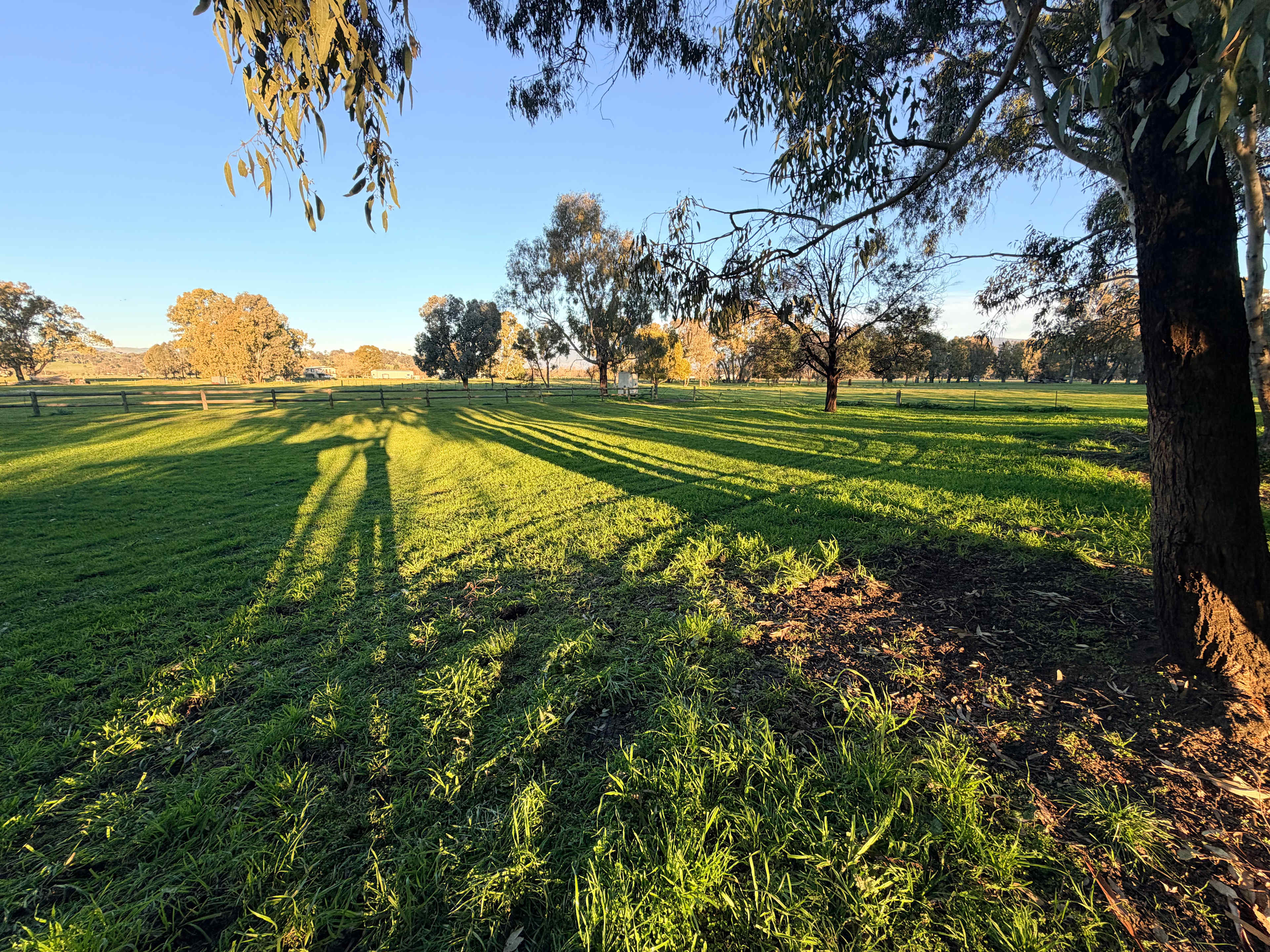 Bahwidgee on Tumut River