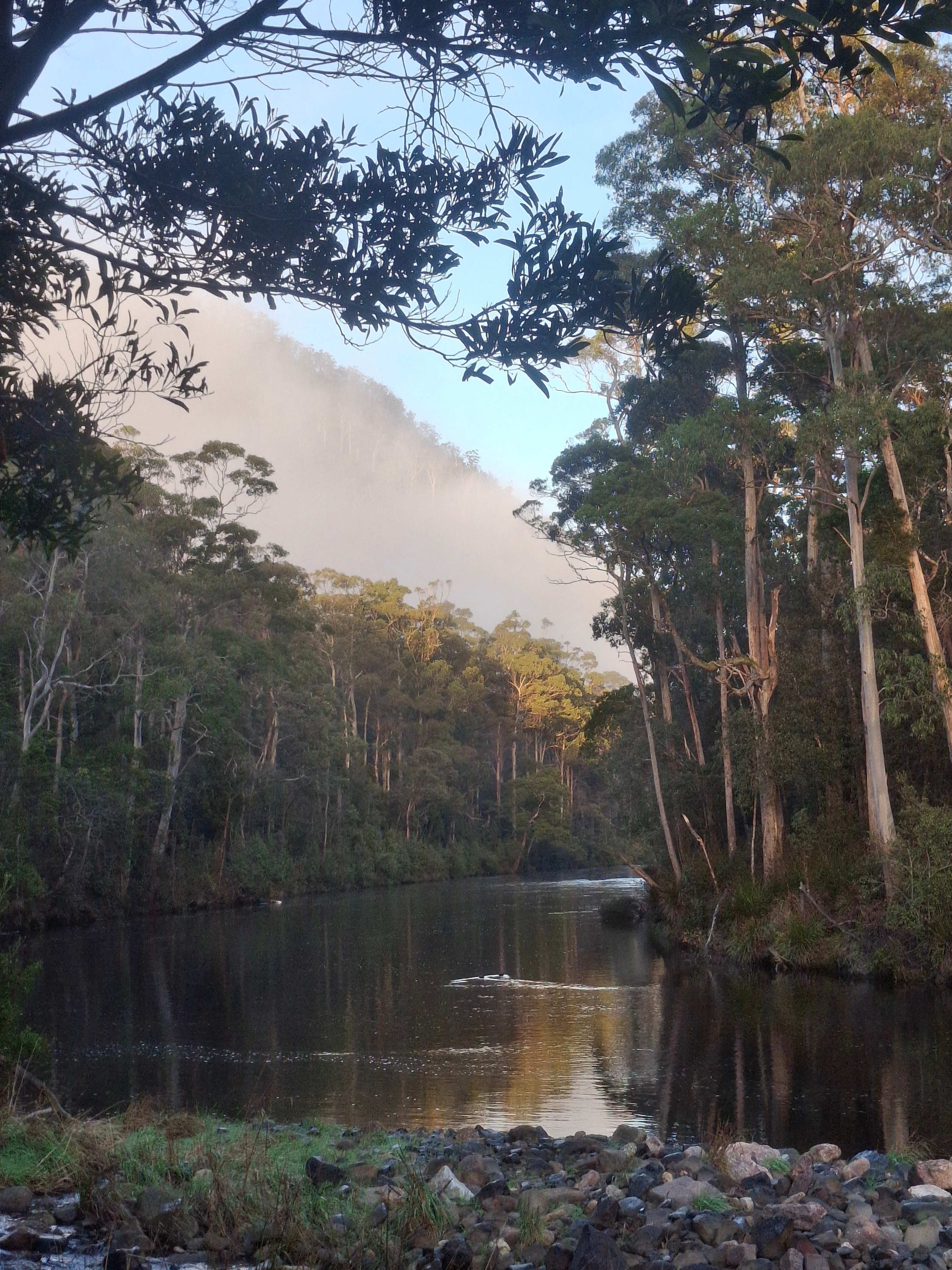 View from the camp