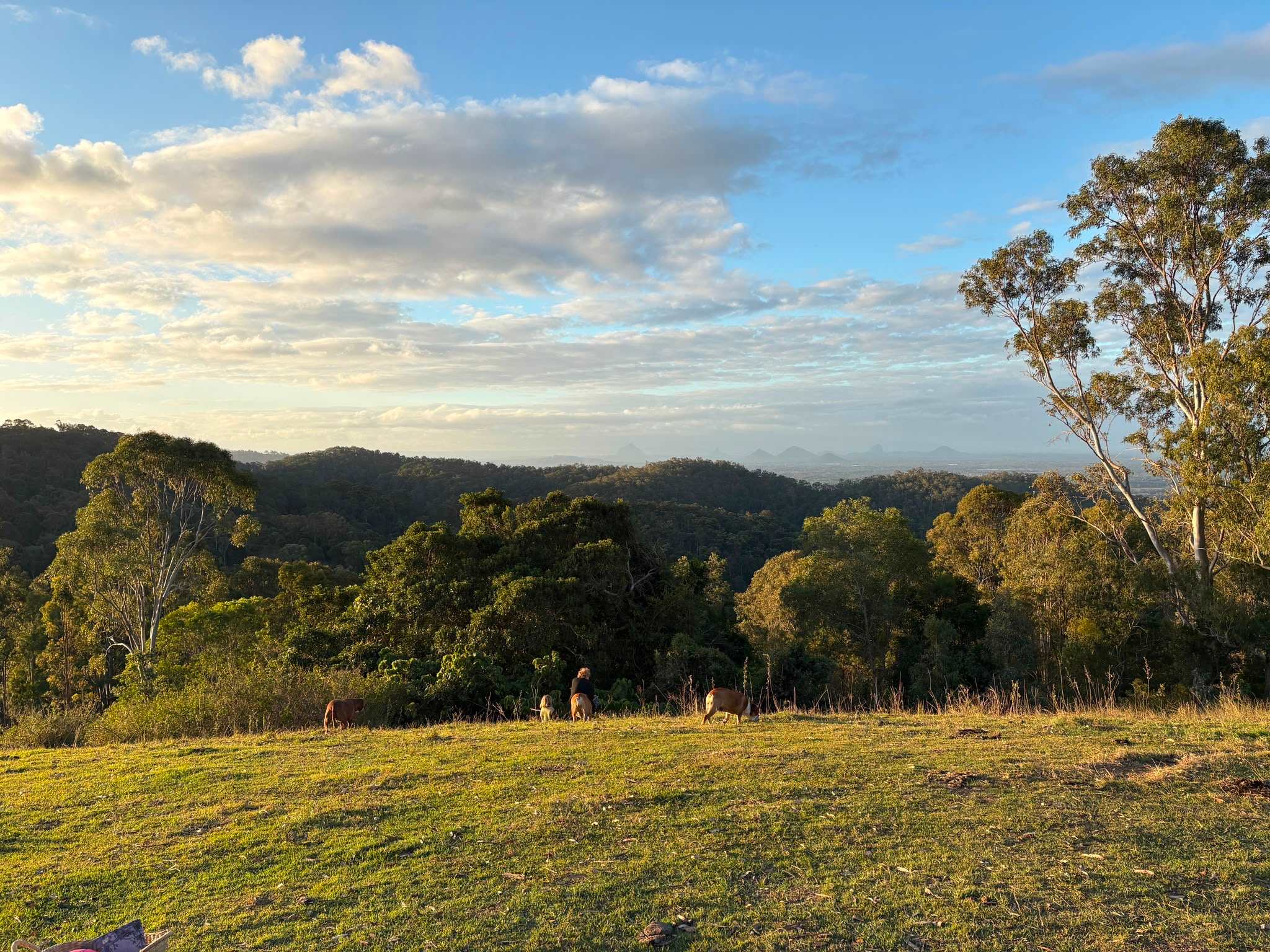 Rangetop Farm
