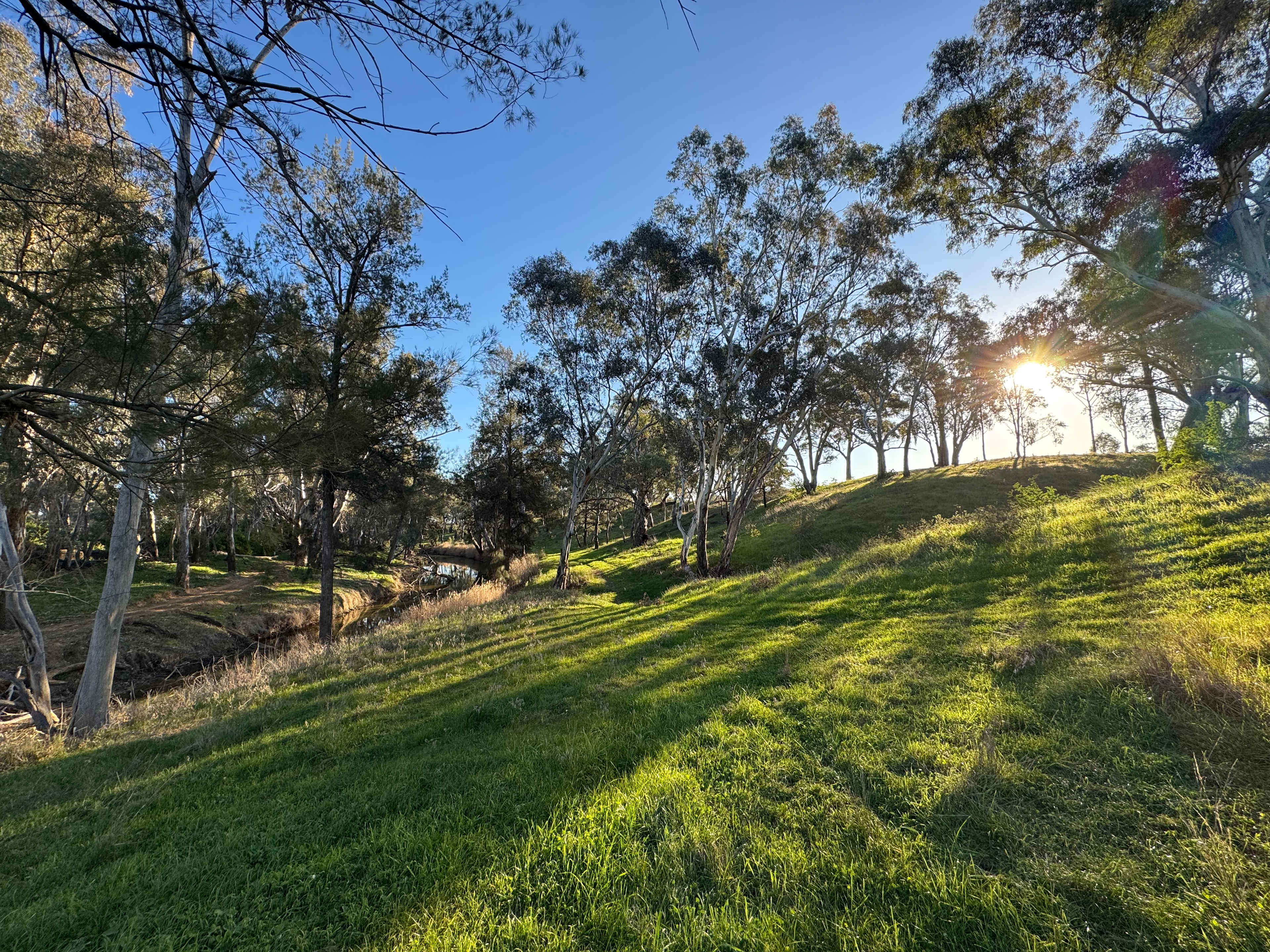 Cadagi Farm Stay in Central West NSW
