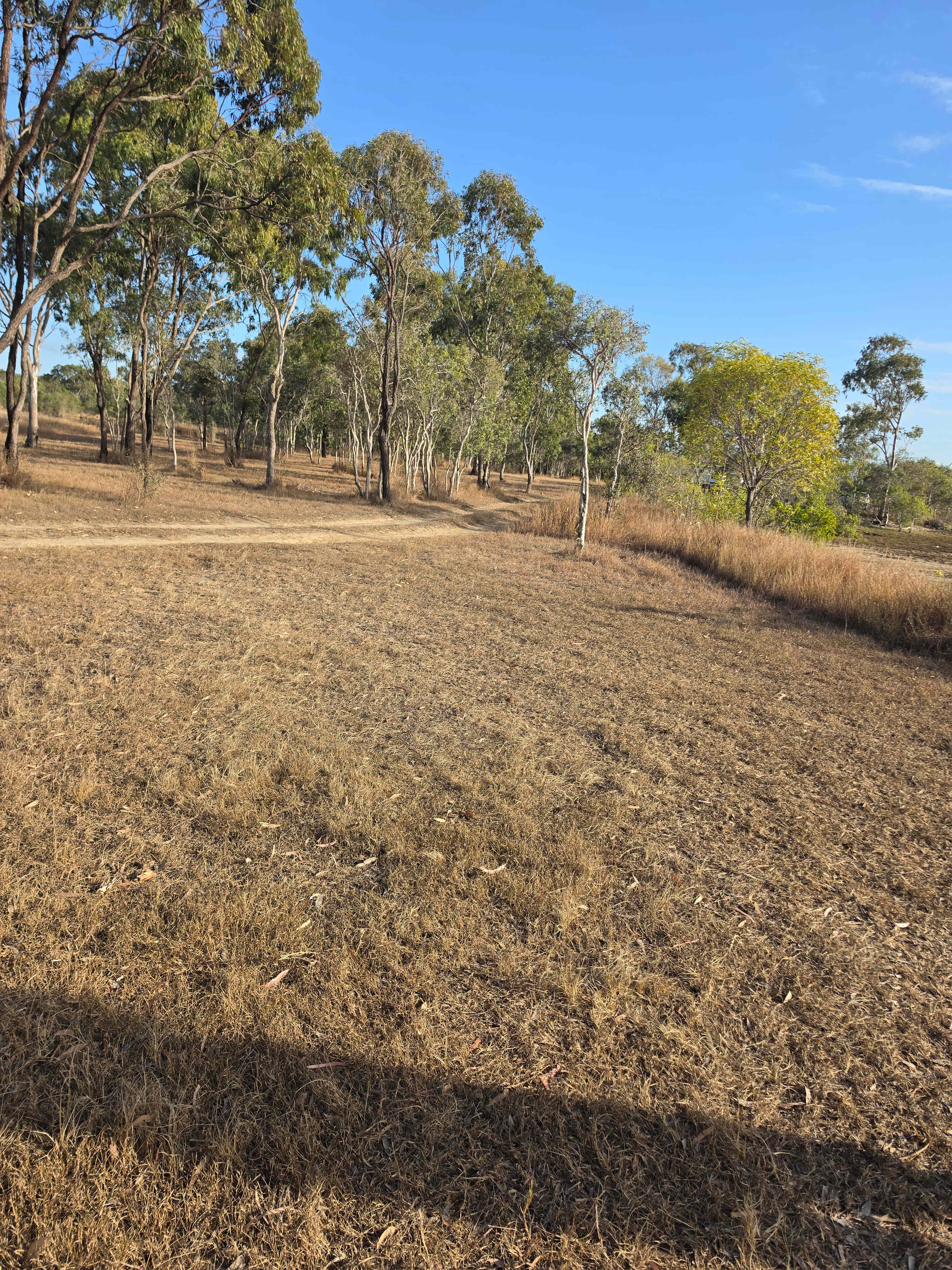 Ranglewood Farm