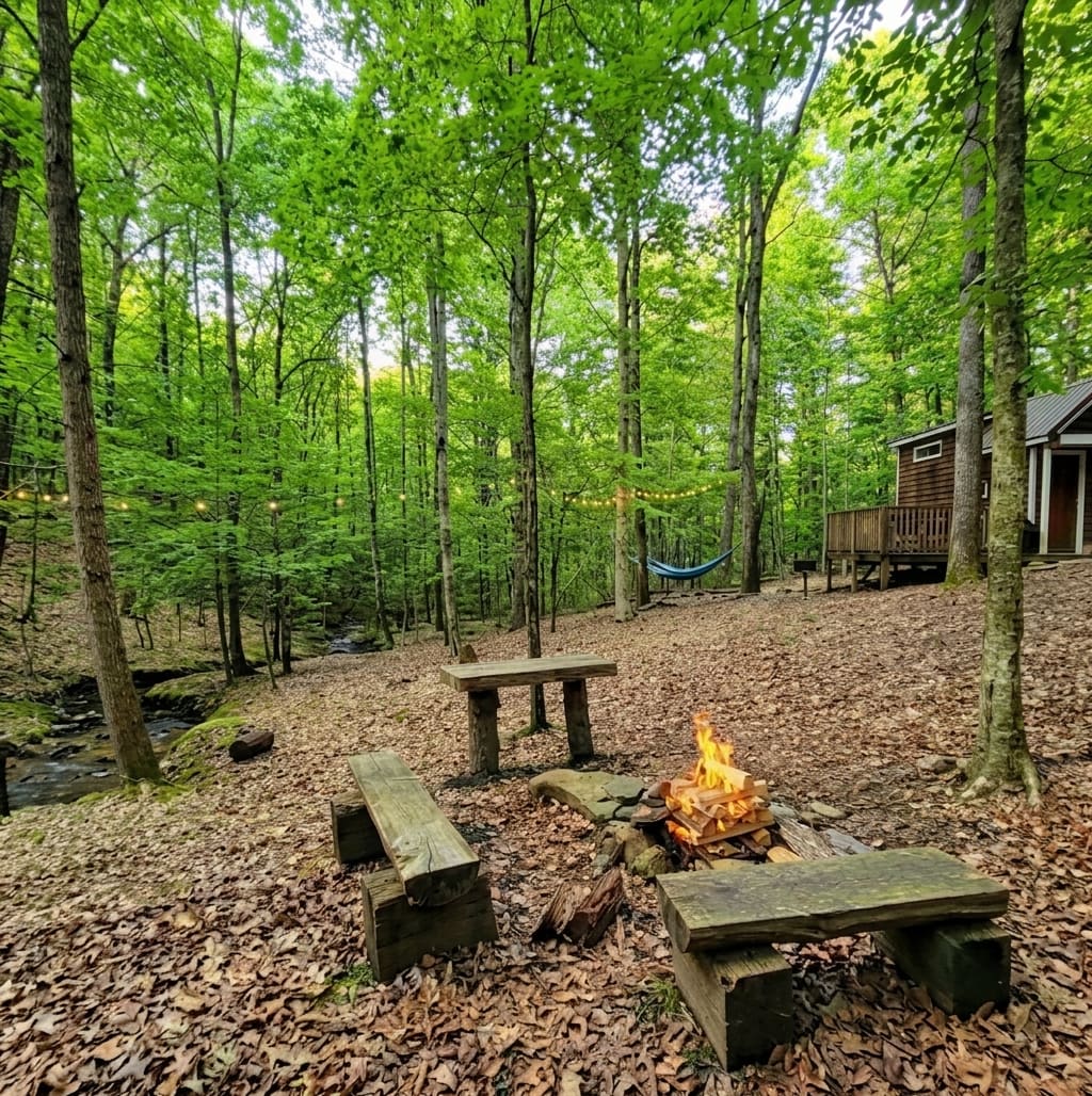 "We had everything we needed in the small home and the jacuzzi, fire pit, and grill were nice extras! "-Kendra May2025