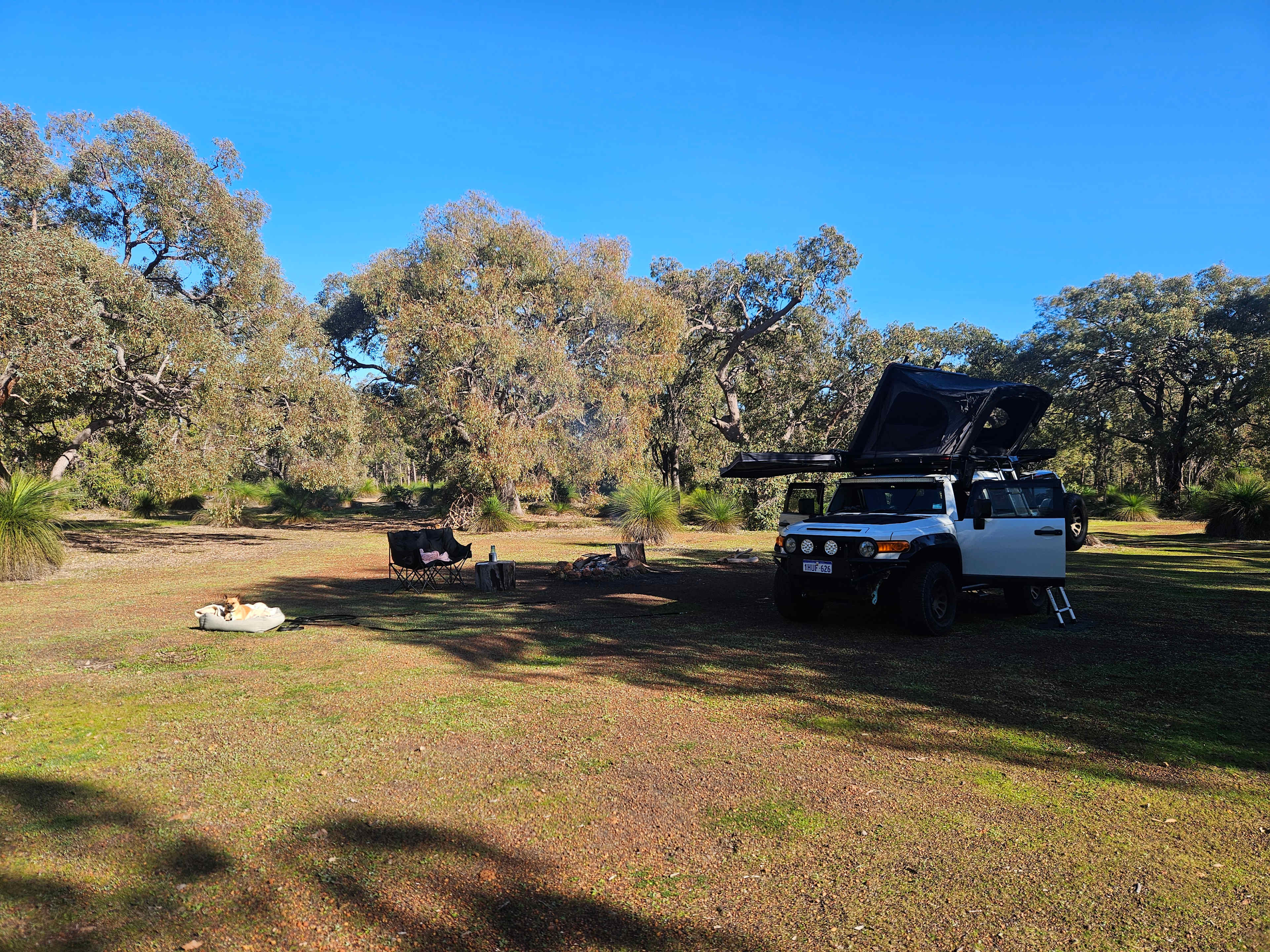 Very spacious and private camp site