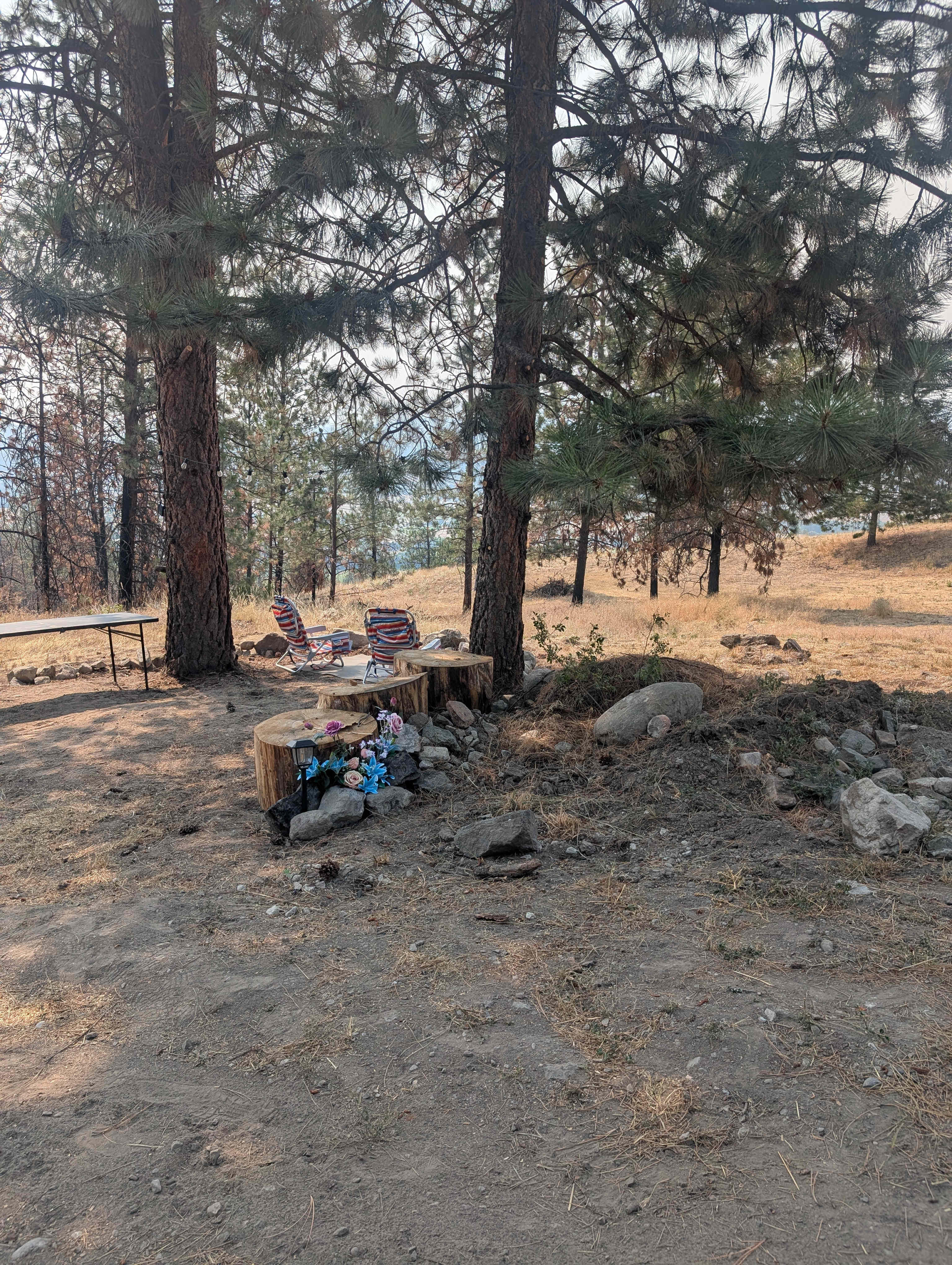 Picture of the site